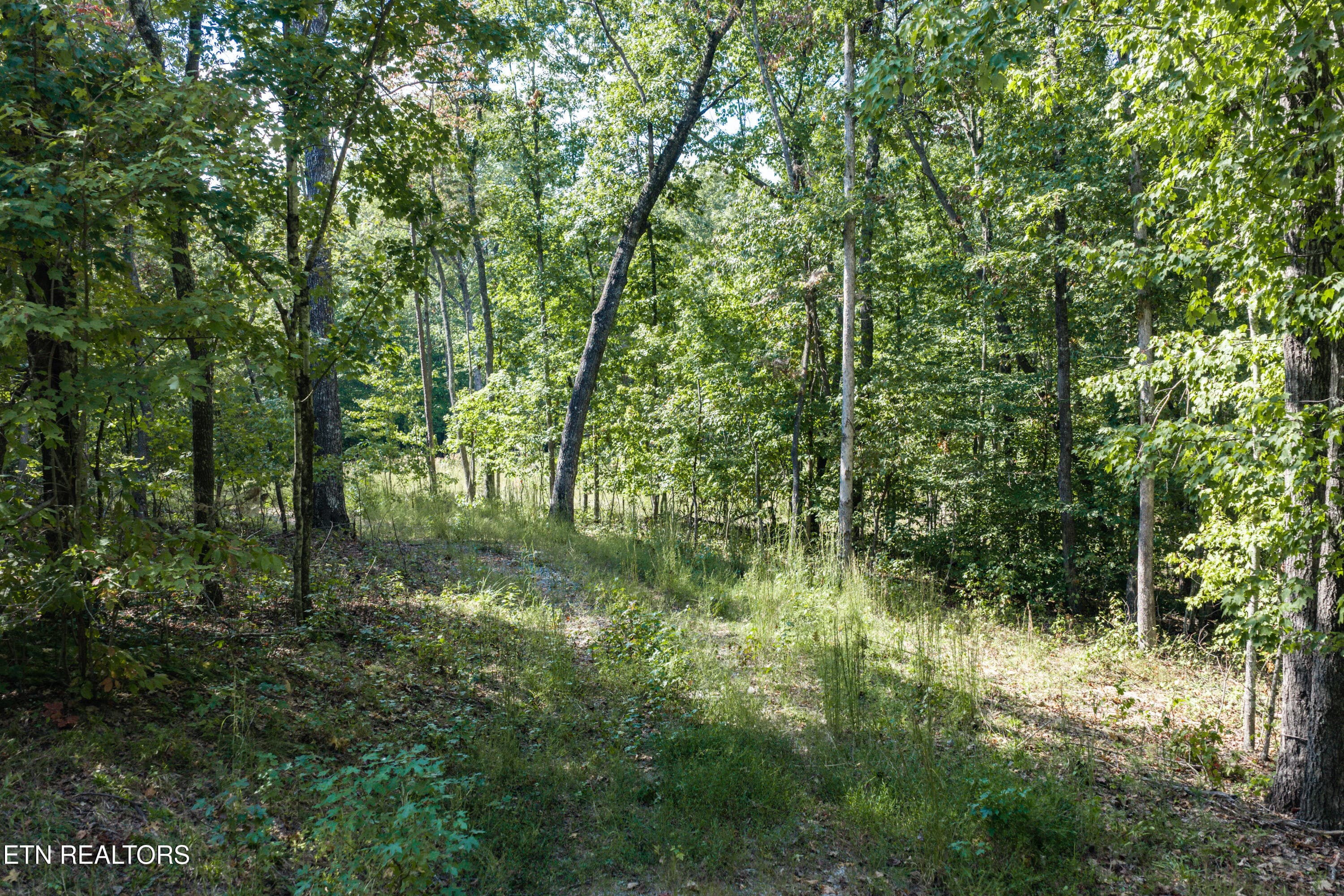 3-print-1426 E Overlook Rd_013_TNPC - 1426 E Overlook Rd, Monterey, TN 38574, Monterey