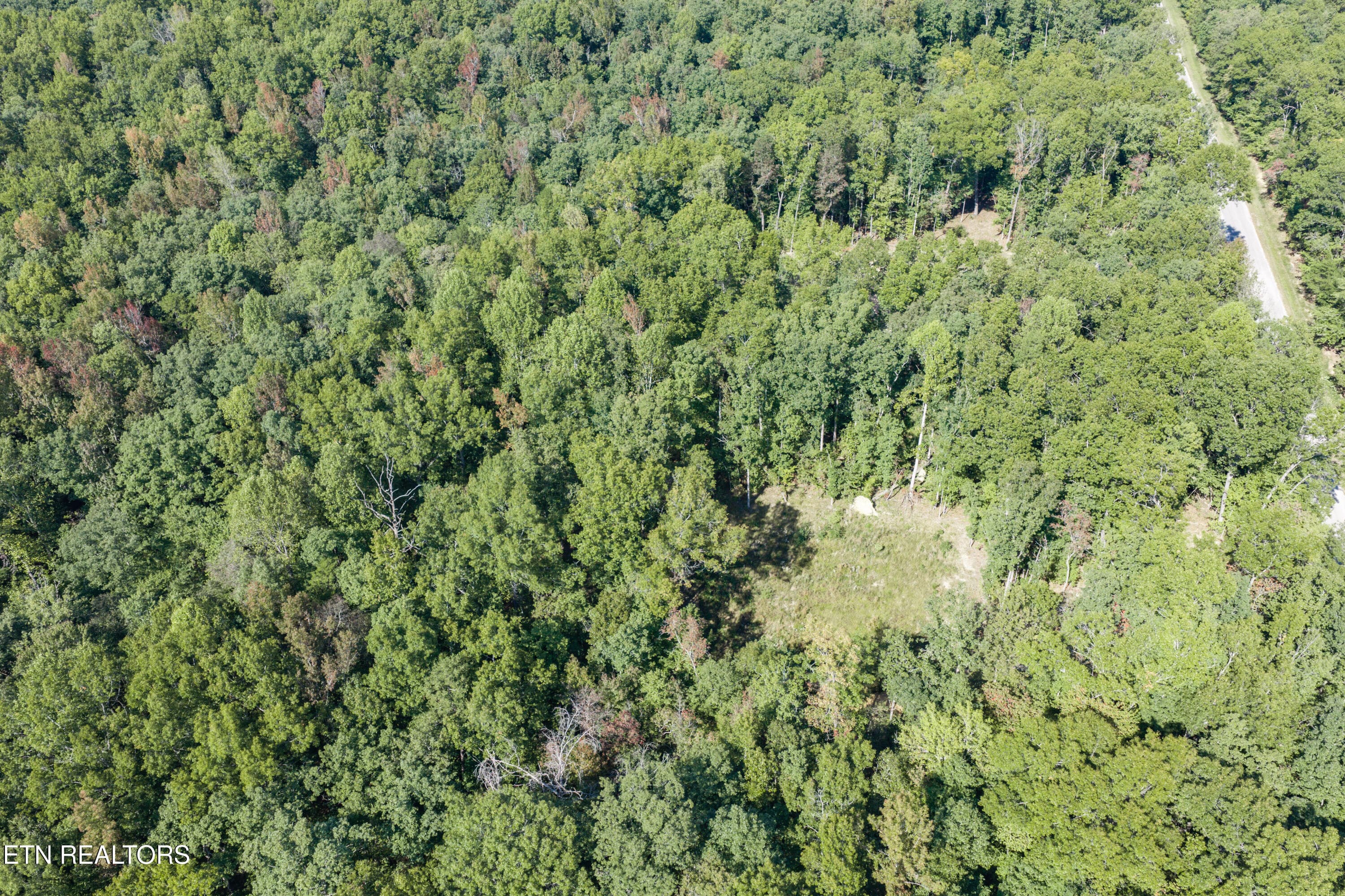 10-print-1426 E Overlook Rd_053_TNPC - 1426 E Overlook Rd, Monterey, TN 38574, Monterey