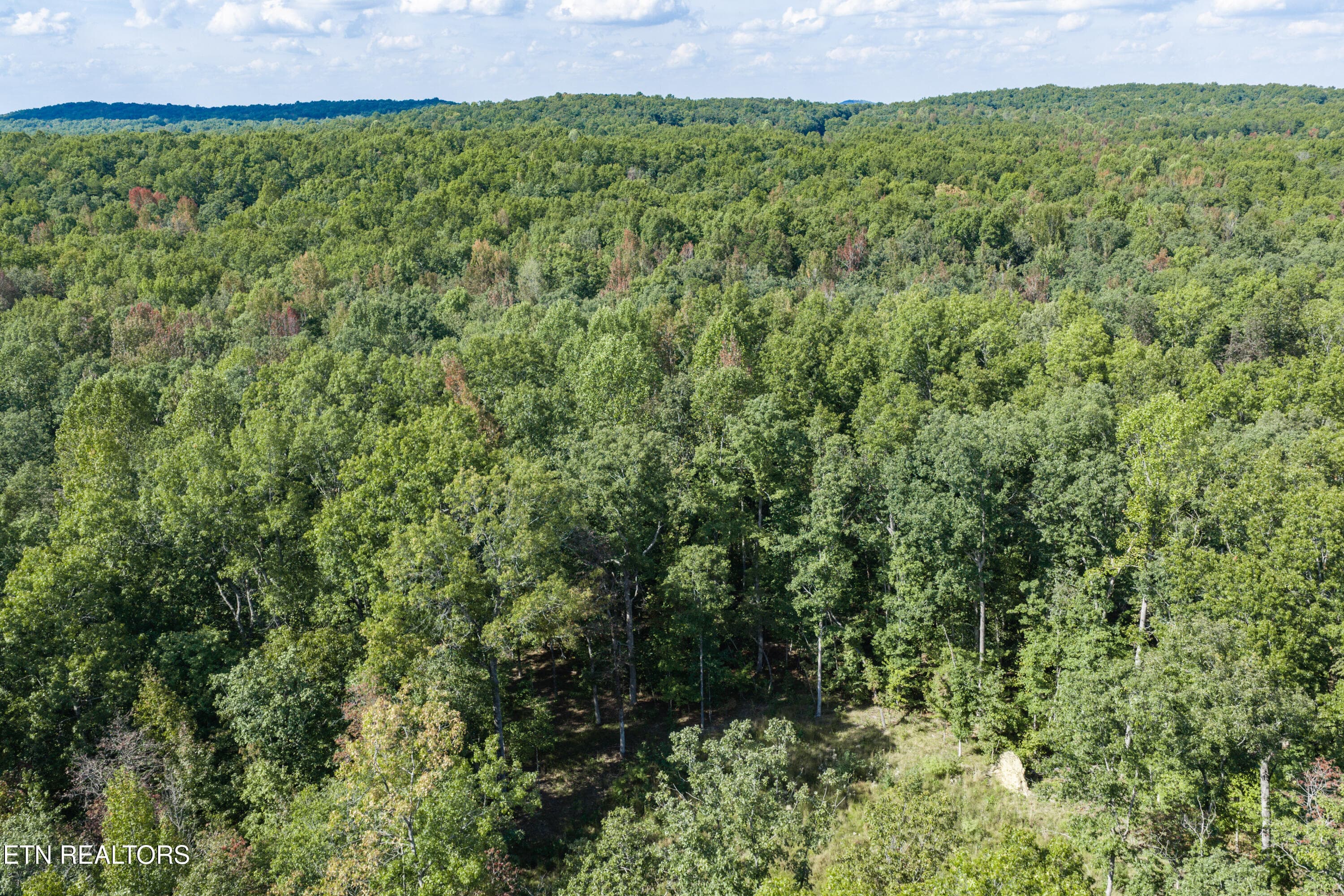 15-print-1426 E Overlook Rd_073_TNPC - 1426 E Overlook Rd, Monterey, TN 38574, Monterey
