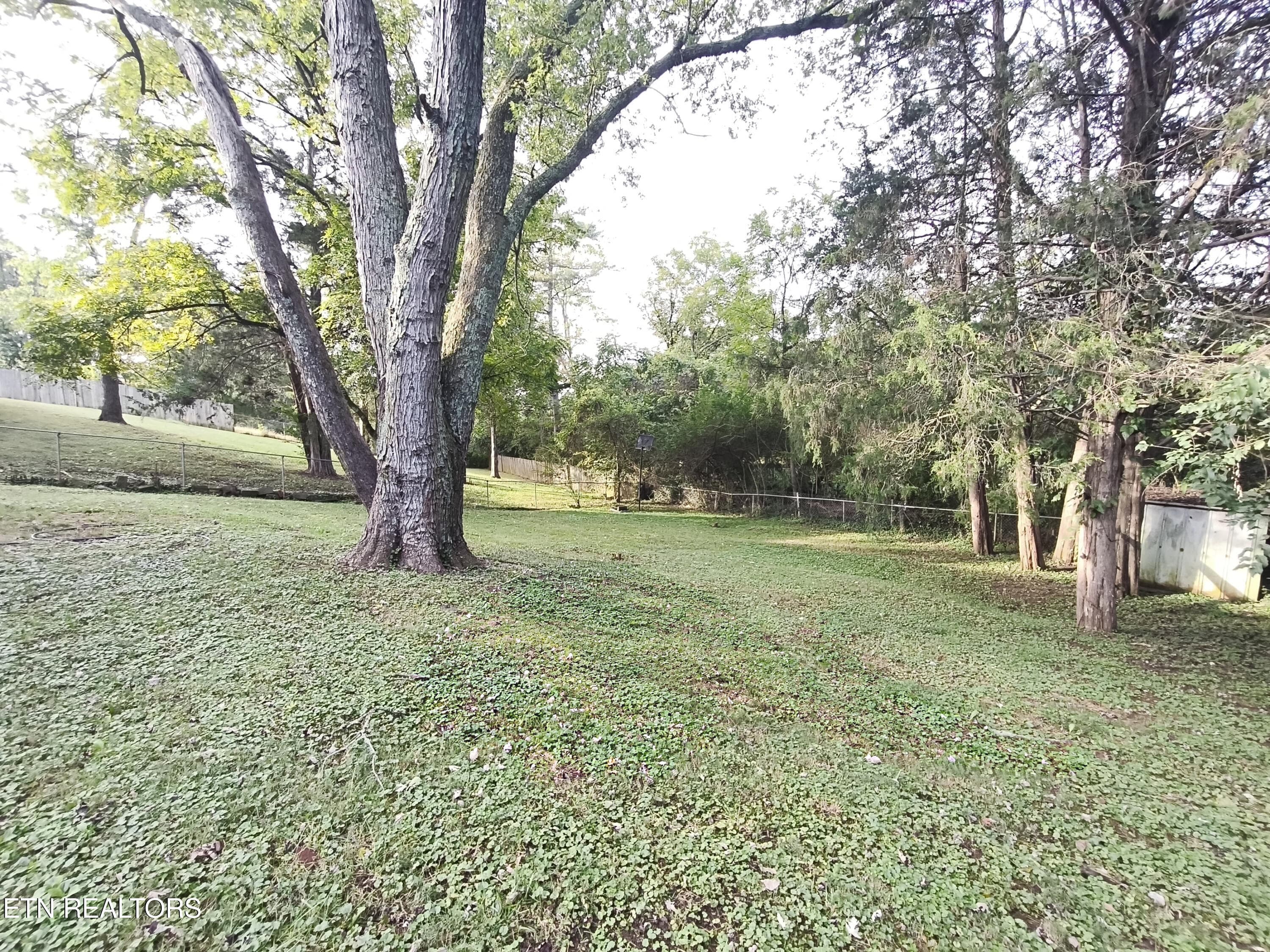 24_Backyard_CLEAN - 5819 Wilkerson Rd, Knoxville, TN 37912, Knoxville