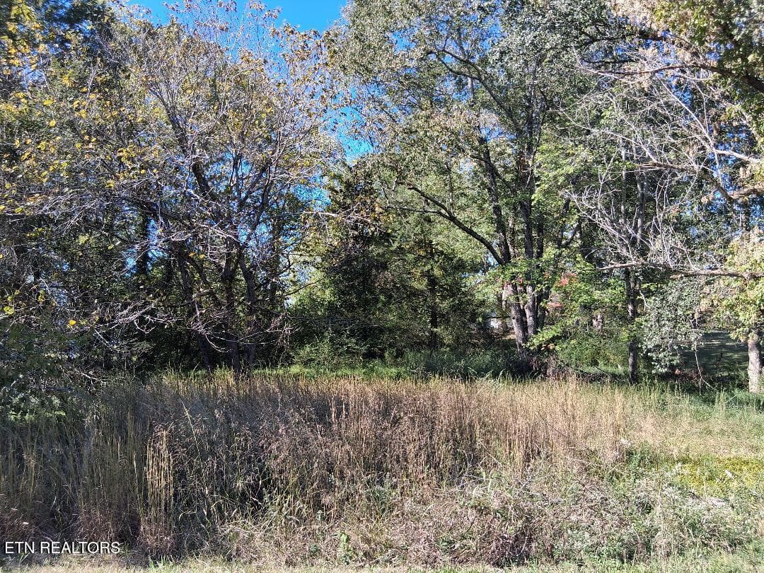 front - Hood Drive, Kingston, TN 37763, Kingston