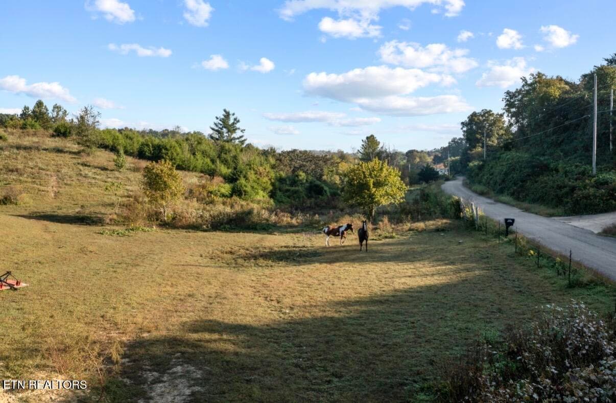 IMG_5763 - 1033 George Malone Rd, Greeneville, TN 37745, Greeneville
