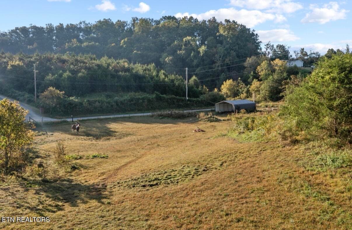 IMG_5764 - 1033 George Malone Rd, Greeneville, TN 37745, Greeneville