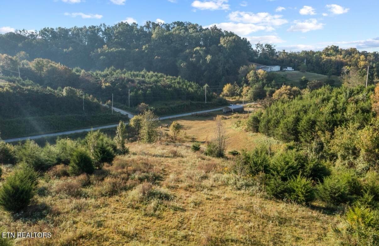 IMG_5768 - 1033 George Malone Rd, Greeneville, TN 37745, Greeneville