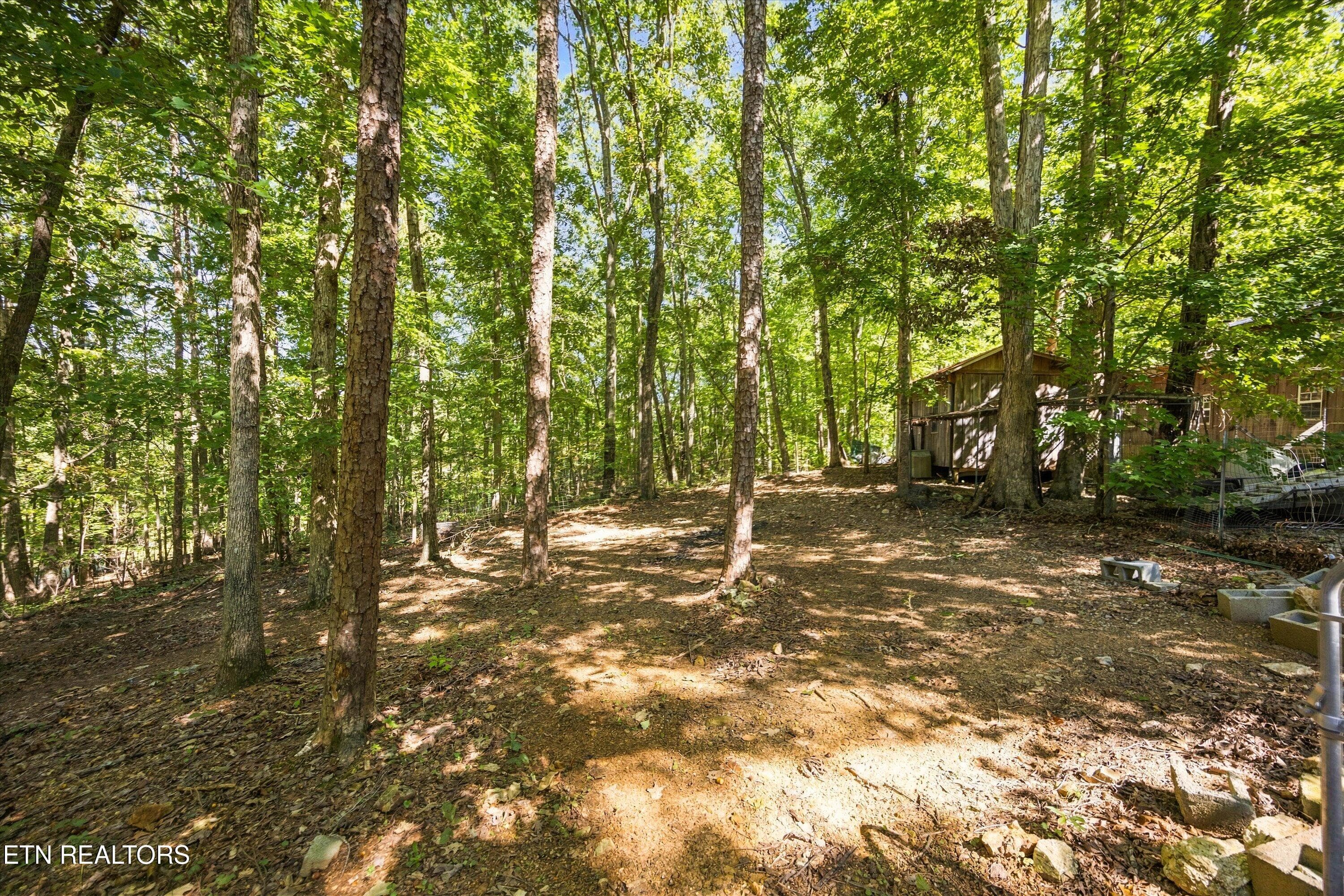 Wooded and serene - 4350 Get Good Hollow Rd, Loudon, TN 37774, Loudon