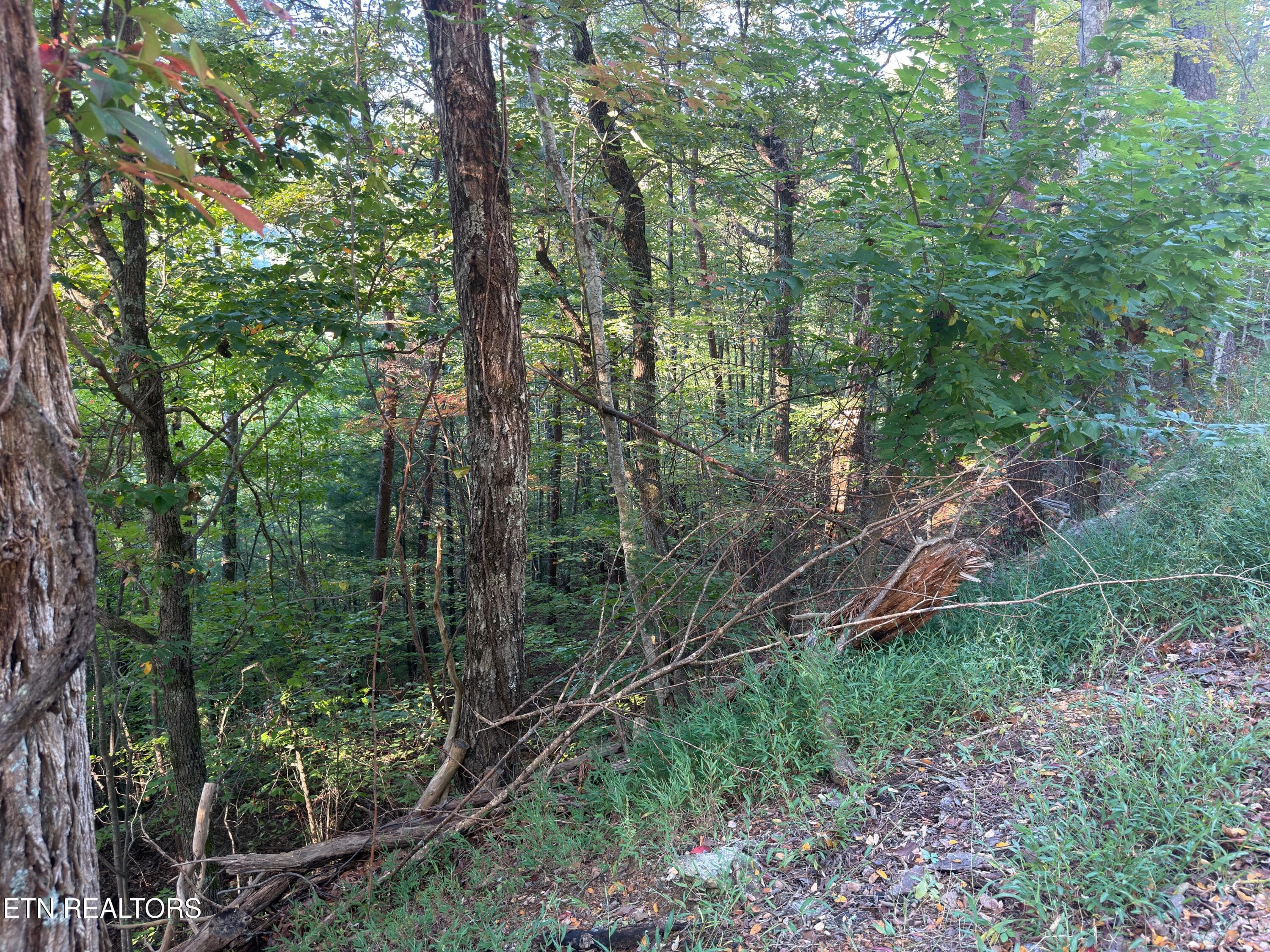Lot 17 Overholt Trail - Overholt Tr, Sevierville, TN 37862, Sevierville