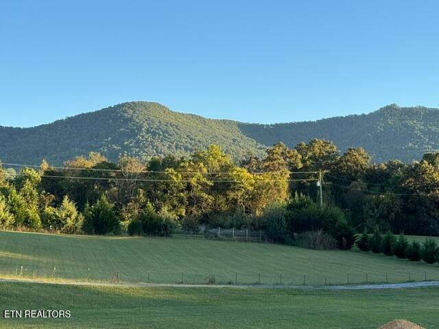 View - 180 County Line Rd, Dandridge, TN 37725, Dandridge