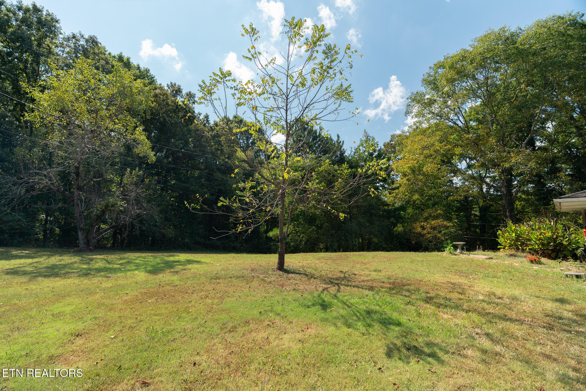 untitled-25 (7) - 150 County Road 600, Athens, TN 37303, Athens