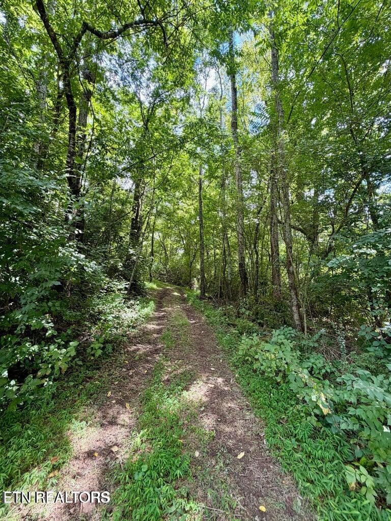 20260716130522379510000000-o - 119 Springhouse Rd, Powell, TN 37849, Powell