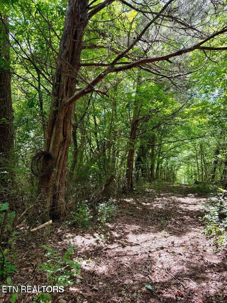 20260716130437998582000000-o - 119 Springhouse Rd, Powell, TN 37849, Powell