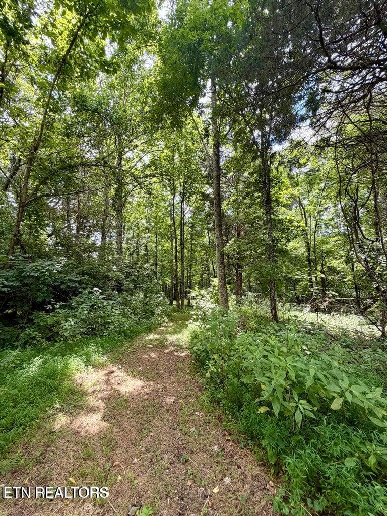 20260716130429529719000000-o - 119 Springhouse Rd, Powell, TN 37849, Powell