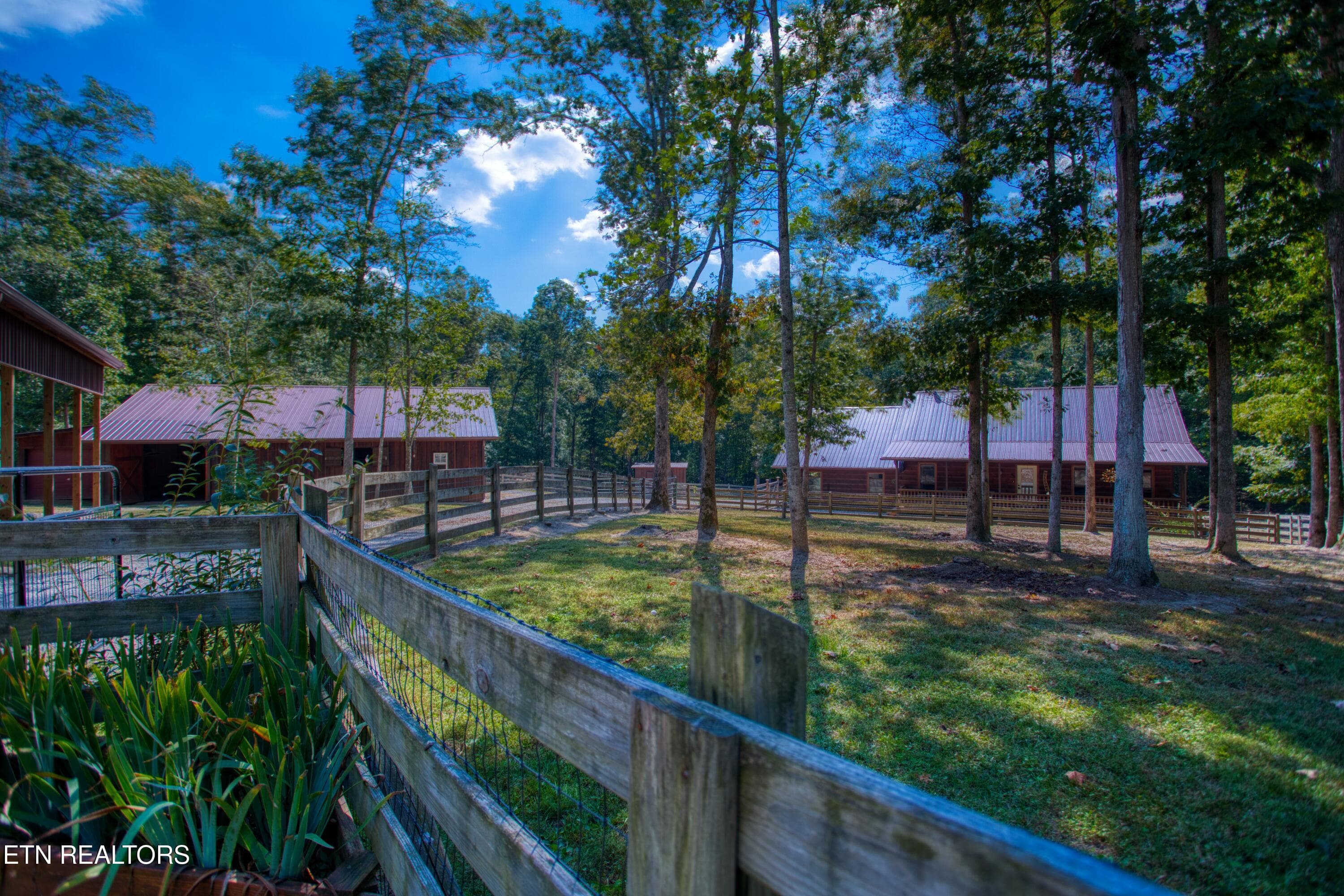 EK3A0919 - 232 Wild Cat Rd, Jamestown, TN 38556, Jamestown