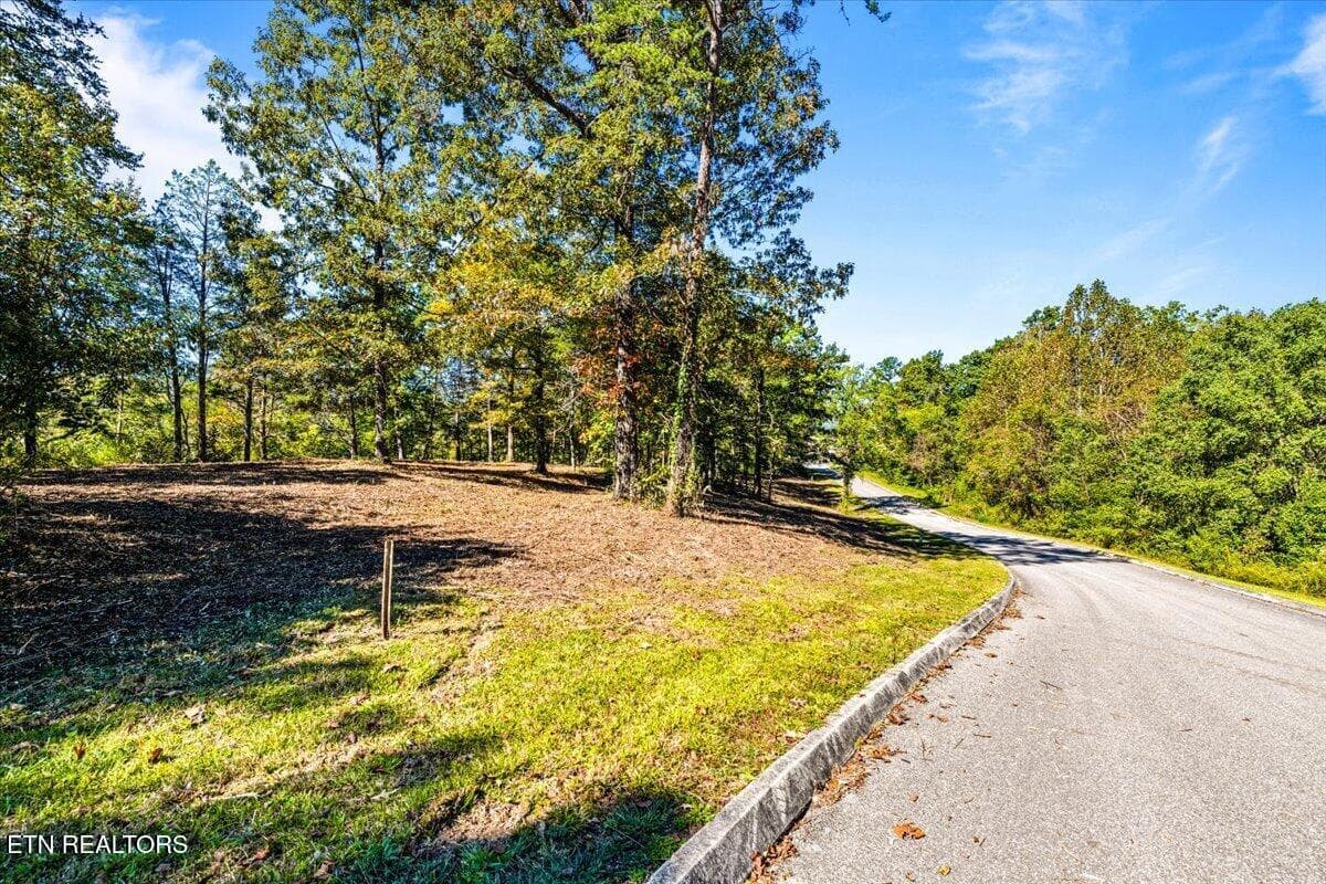31-Bluff Trace - lot1,2,2,3 Bluff Trace, Jacksboro, TN 37757, Jacksboro