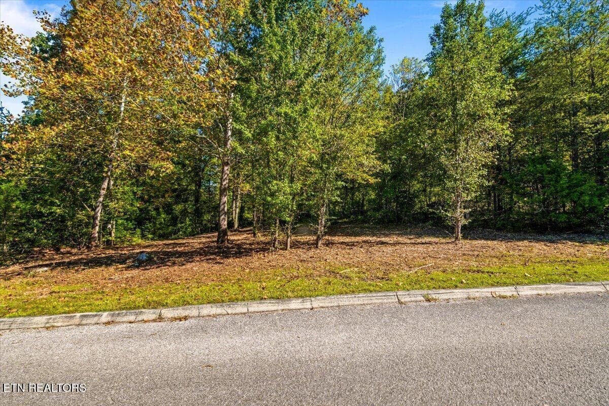 32-Bluff Trace - lot1,2,2,3 Bluff Trace, Jacksboro, TN 37757, Jacksboro