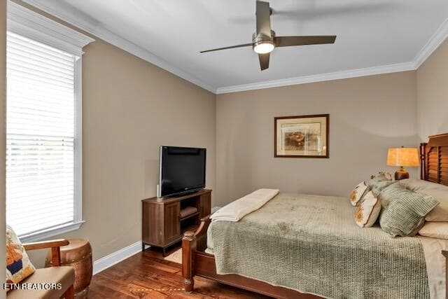 Downstairs Bedroom - 3812 Jackson Bend Drive, Louisville, TN 37777, Louisville