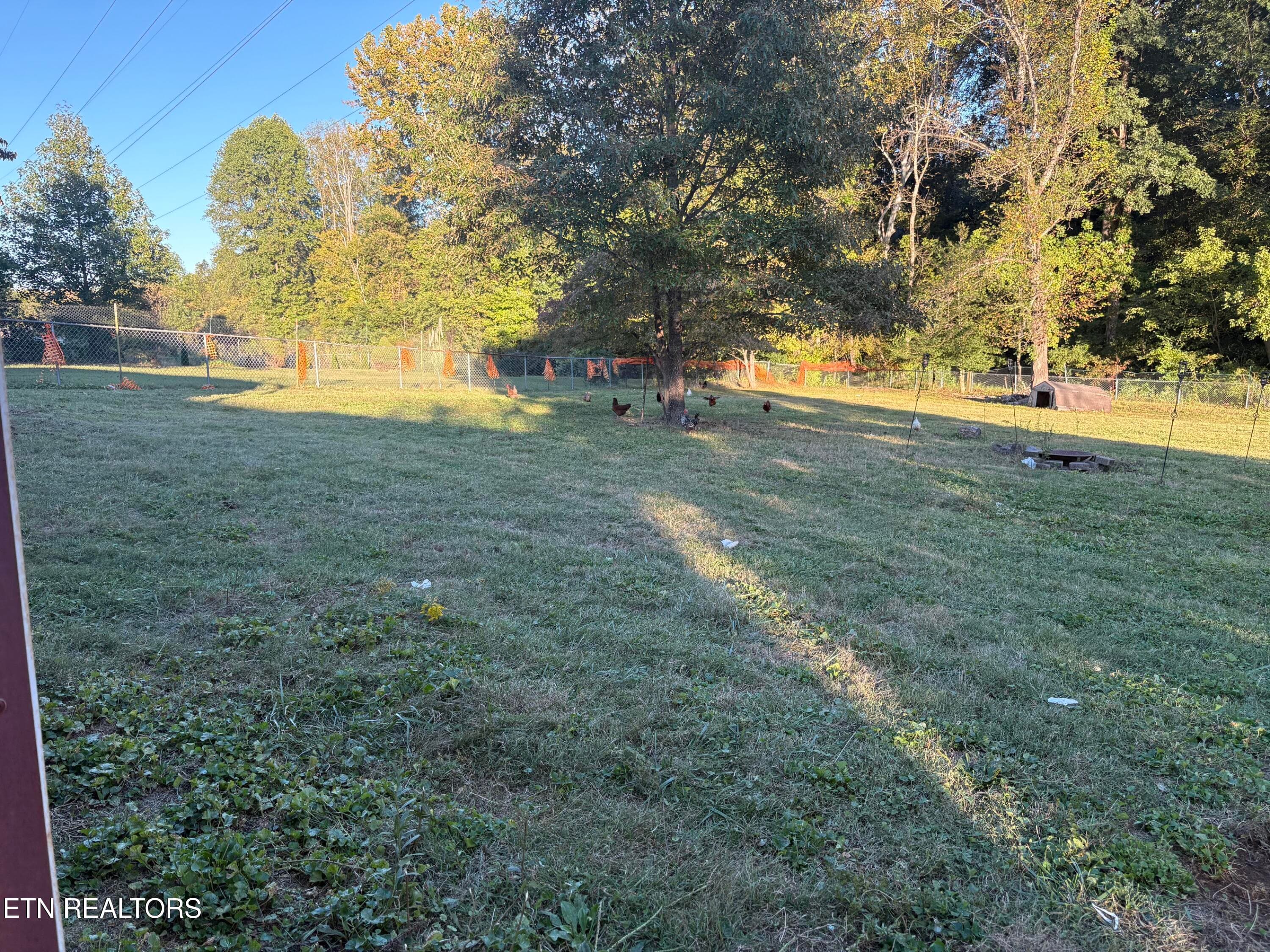 IMG_5418 - 6512 E Garwood Circle, Knoxville, TN 37918, Knoxville