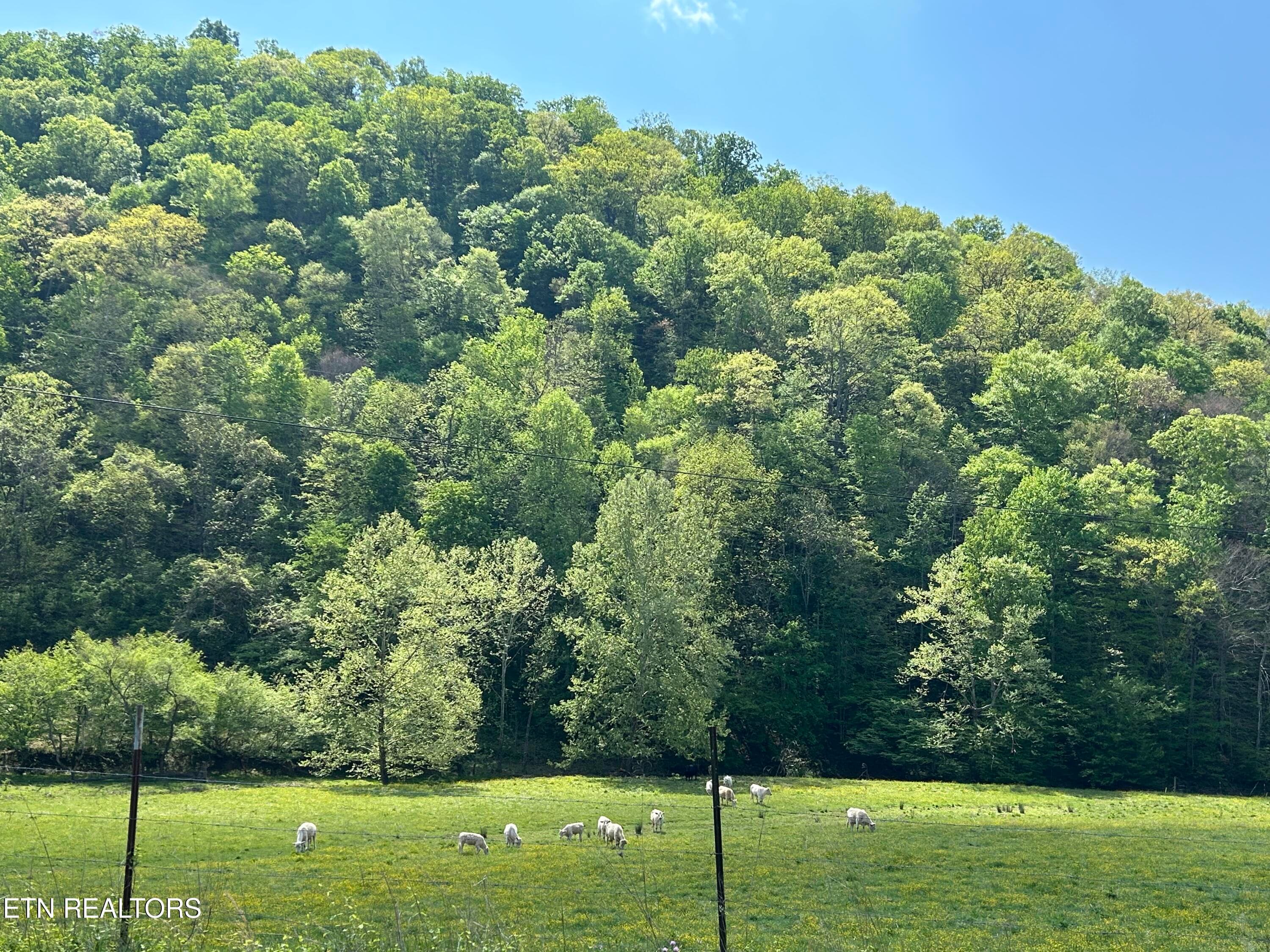 Trent Valley Rd Rd, Sneedville, TN 37869