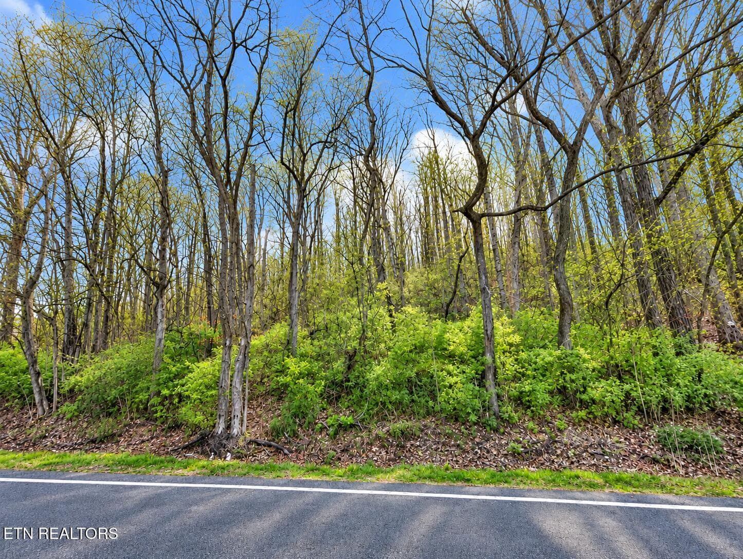 Oakland Rd, Sweetwater, TN 37874 - Oakland Rd, Sweetwater, TN 37874, Sweetwater