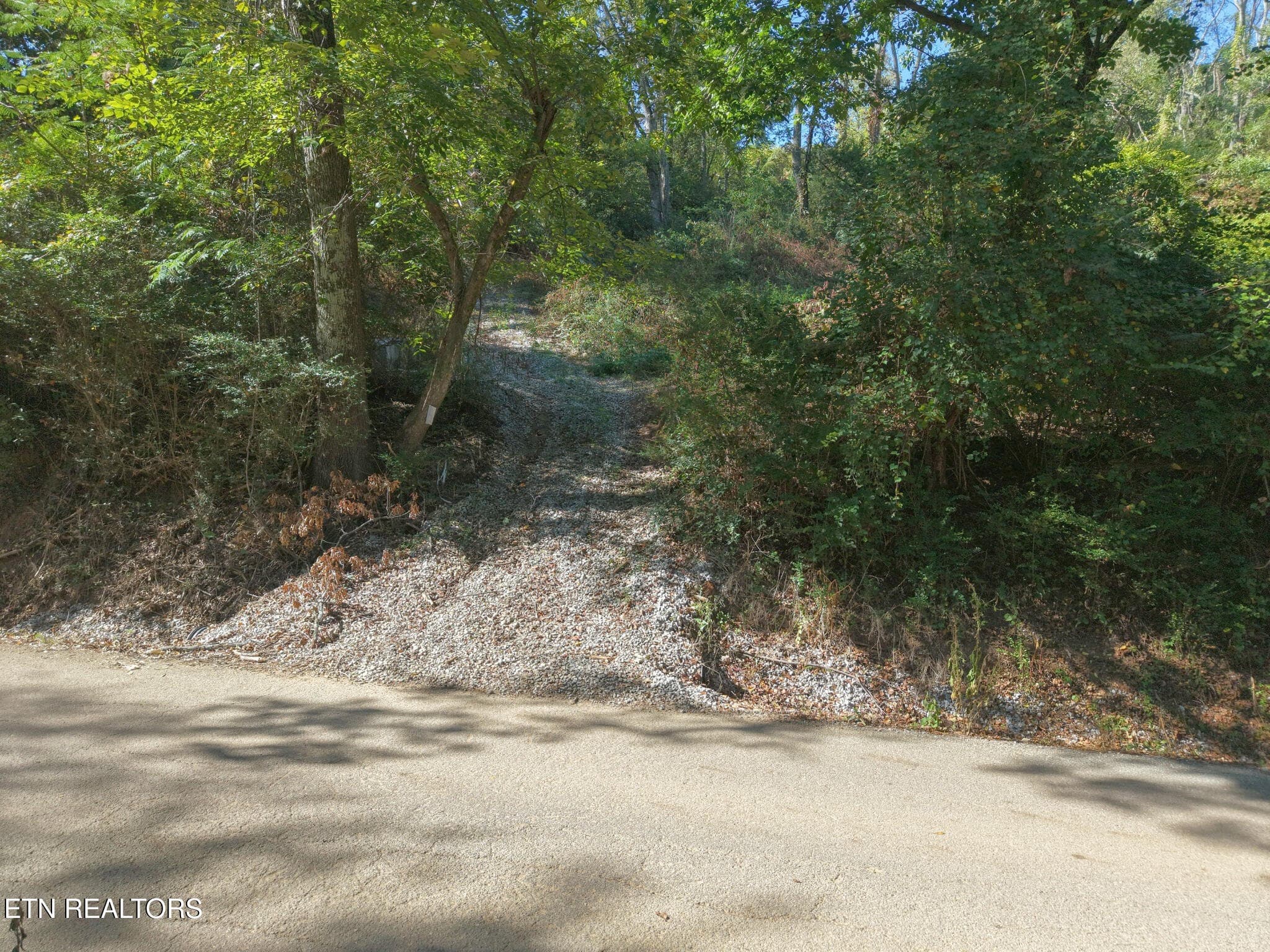 181 Whitehall Rd, Chattanooga, TN 37405