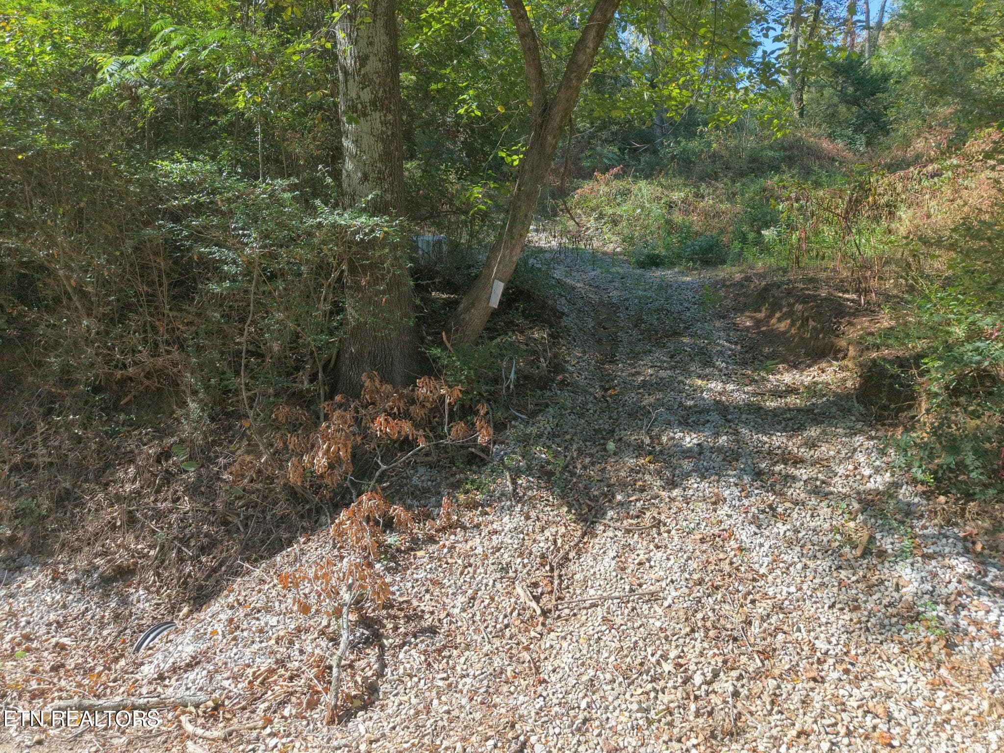Driveway - 181 Whitehall Rd, Chattanooga, TN 37405, Chattanooga