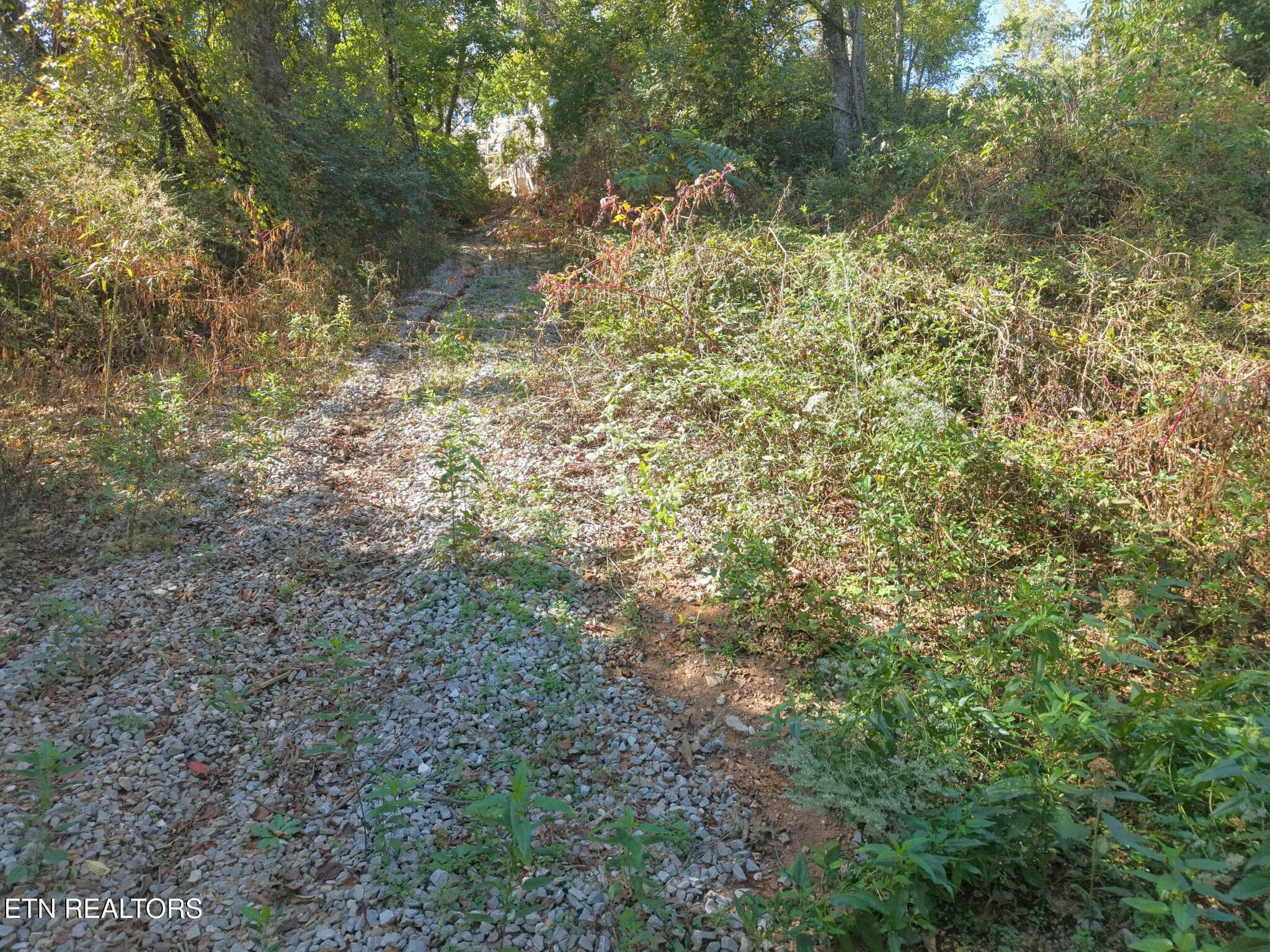Driveway - 181 Whitehall Rd, Chattanooga, TN 37405, Chattanooga