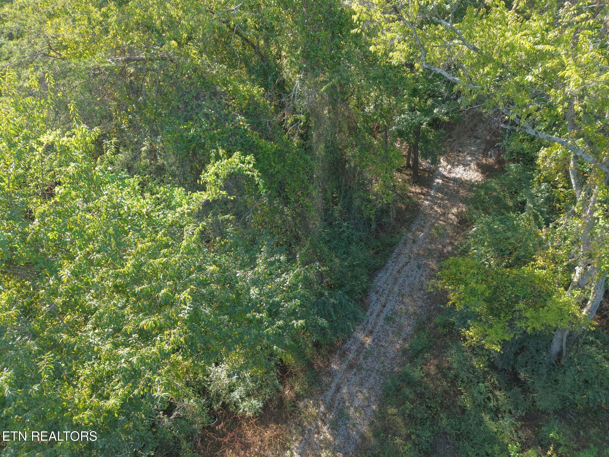 Driveway - 181 Whitehall Rd, Chattanooga, TN 37405, Chattanooga