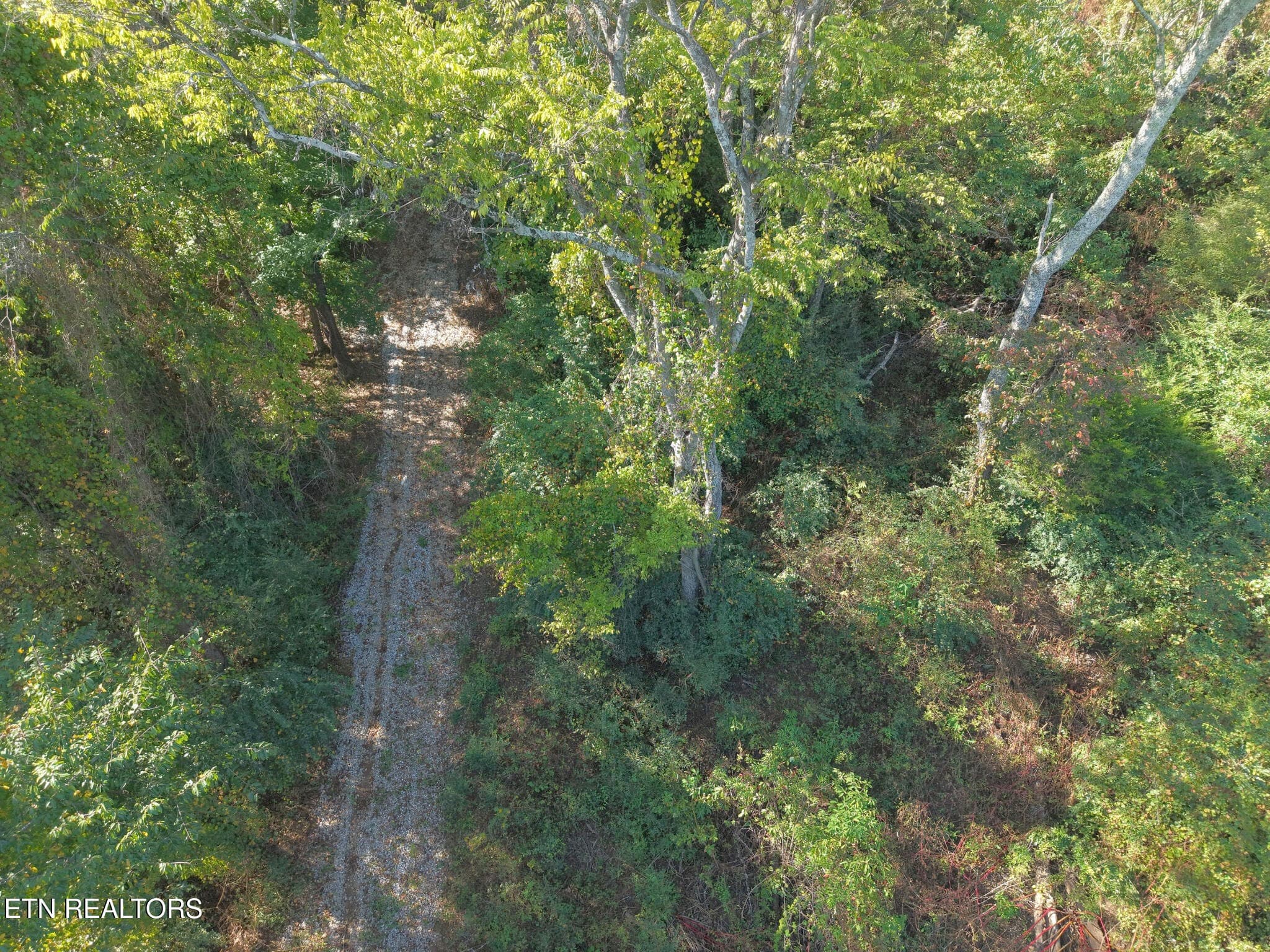 Driveway - 181 Whitehall Rd, Chattanooga, TN 37405, Chattanooga
