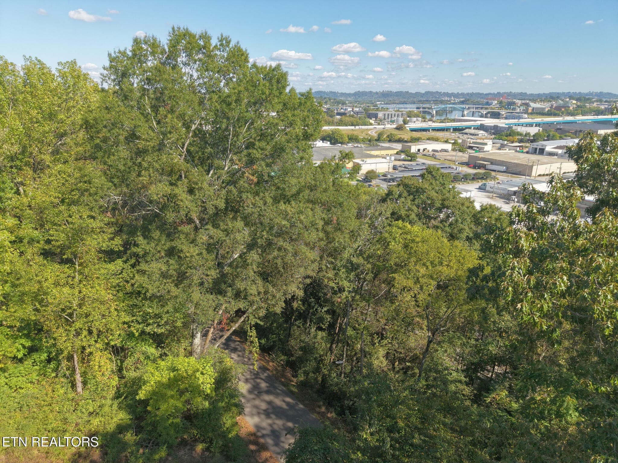 Aerial View - 181 Whitehall Rd, Chattanooga, TN 37405, Chattanooga