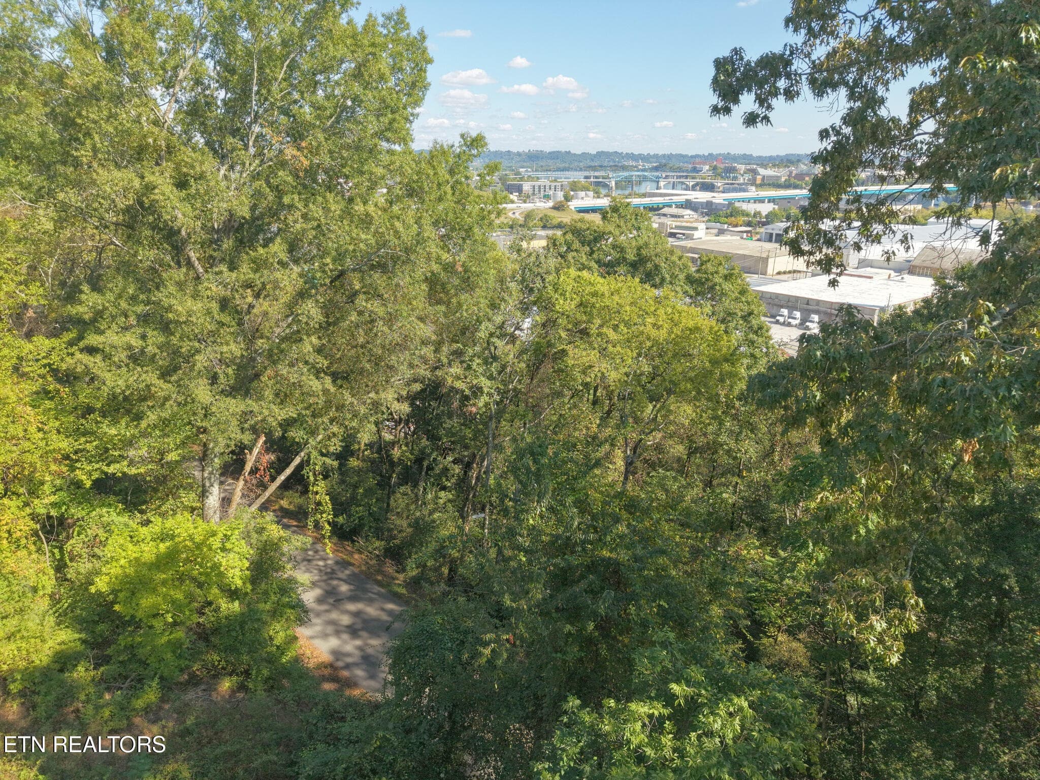 Aerial View - 181 Whitehall Rd, Chattanooga, TN 37405, Chattanooga
