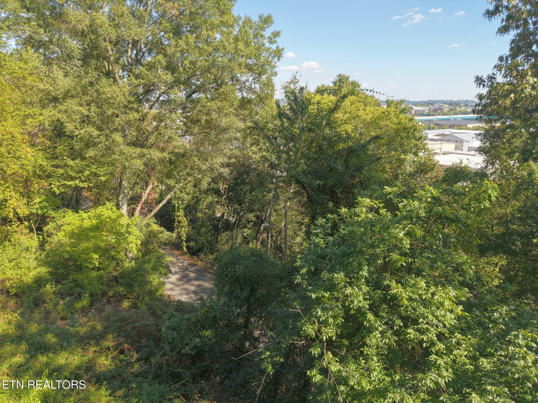 Aerial View - 181 Whitehall Rd, Chattanooga, TN 37405, Chattanooga