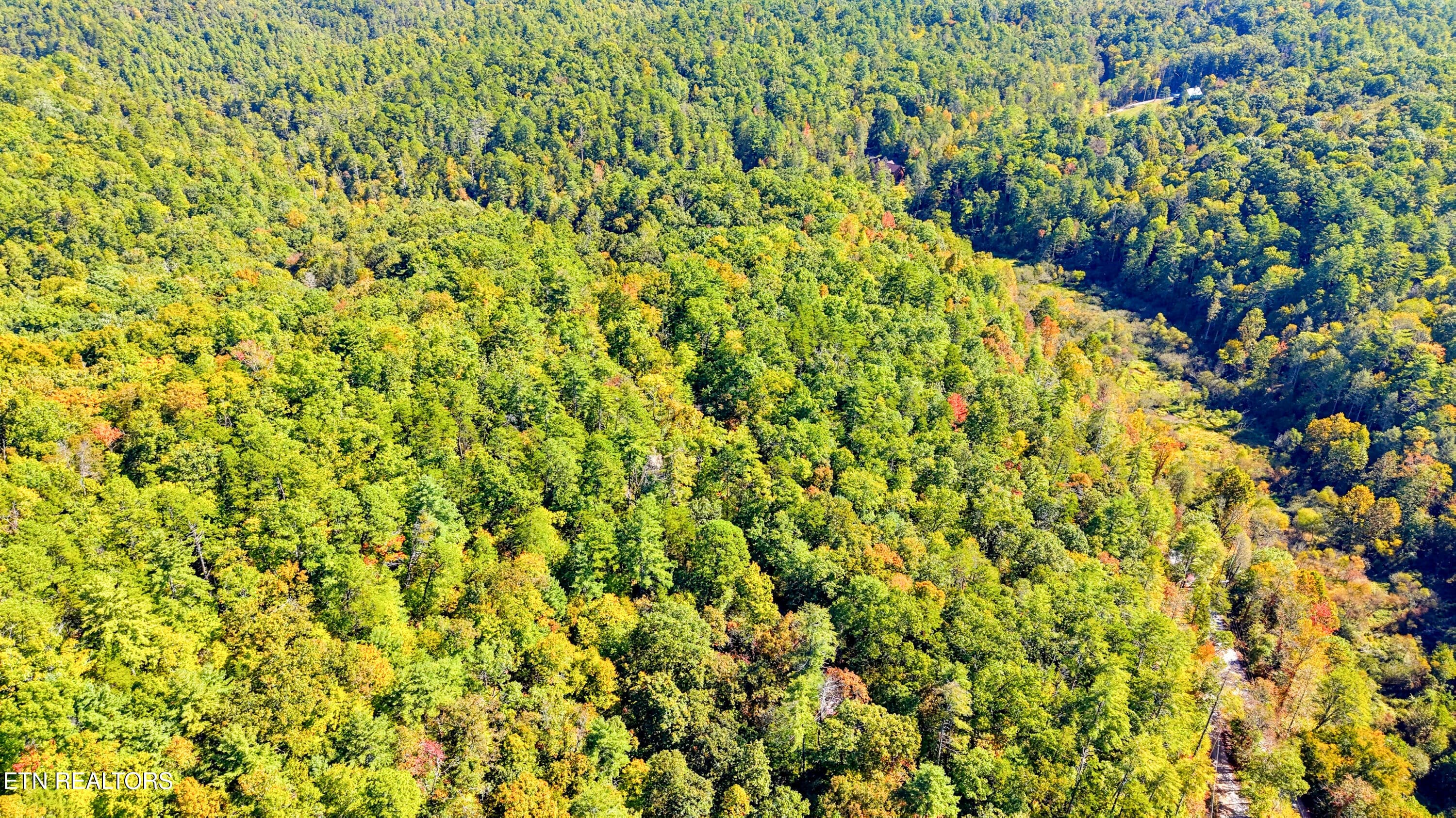 DJI_20261005120244_0250_D-2 - 1840 Oakwood Rd, Walland, TN 37886, Walland