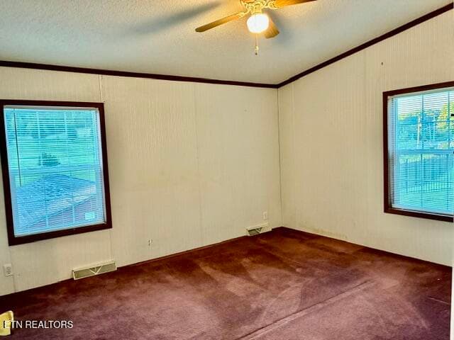 20 - 315 W Mount Rd, Kodak, TN 37764, Kodak