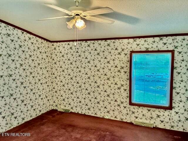 32 - 315 W Mount Rd, Kodak, TN 37764, Kodak