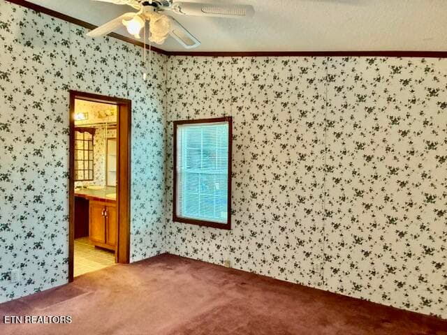 33 - 315 W Mount Rd, Kodak, TN 37764, Kodak