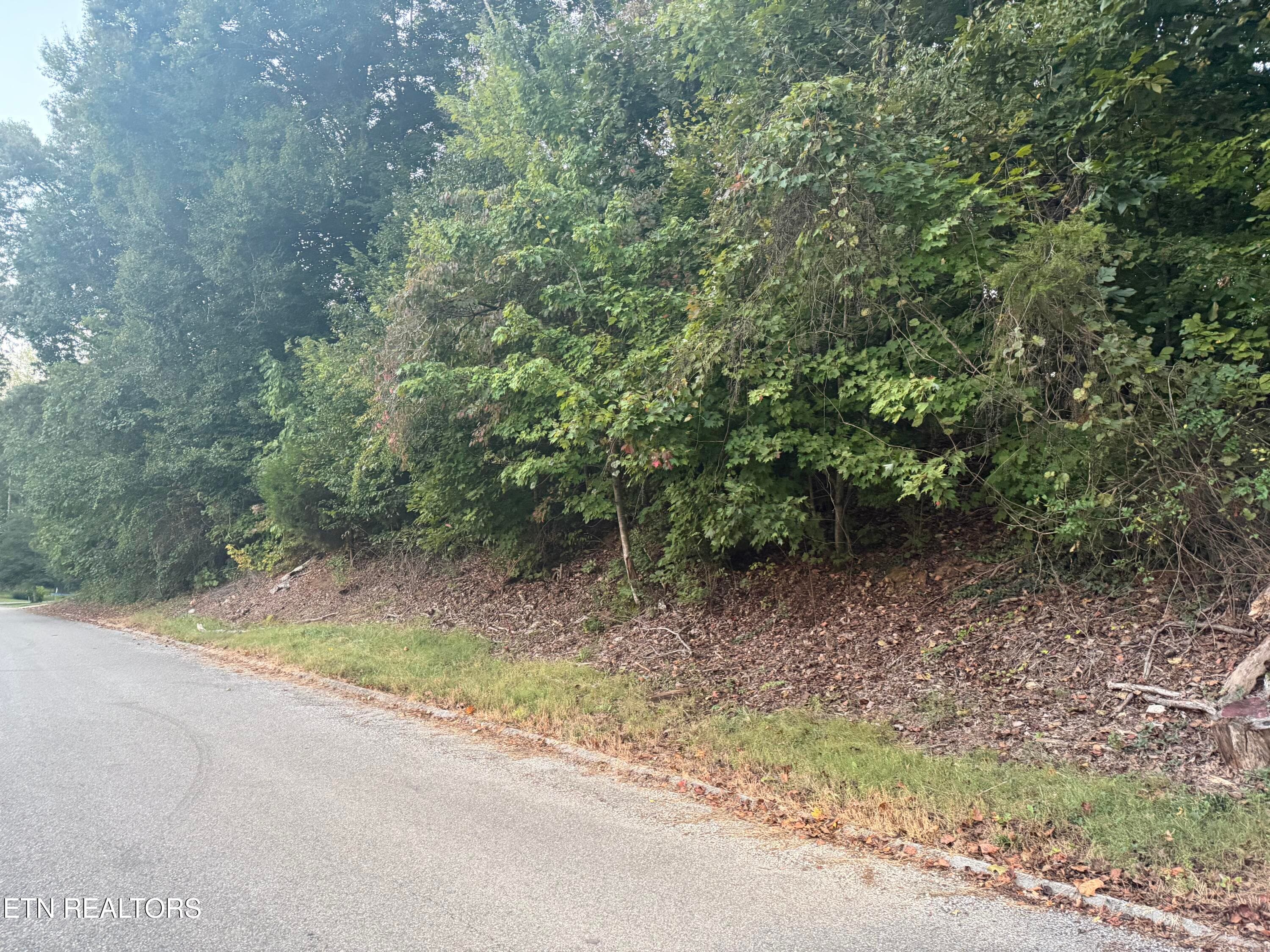 IMG_0181 - Indian Hills Circle, Clinton, TN 37716, Clinton