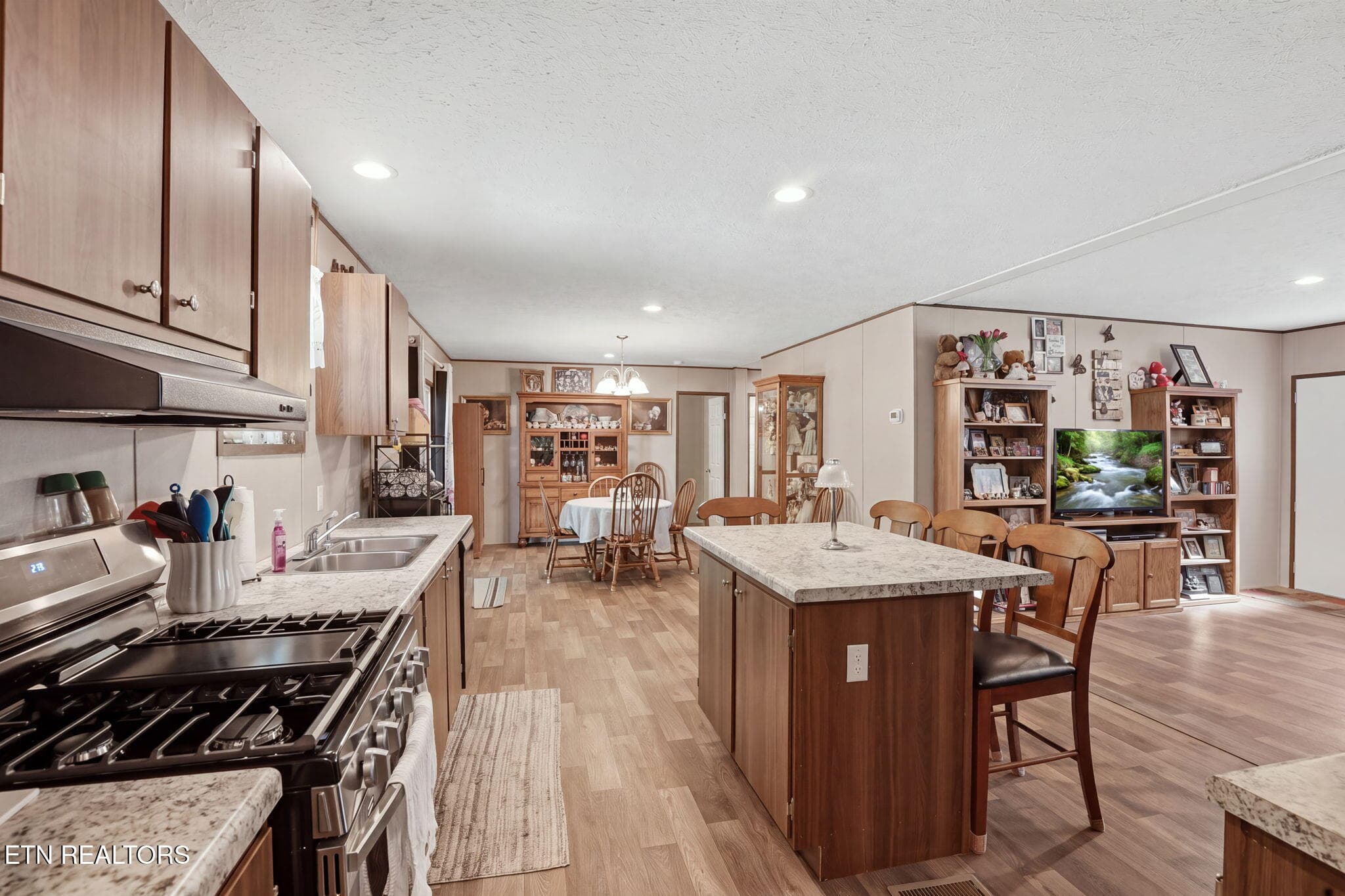 12-web-or-mls-DZ3A4013 - 710 Lower Quarry Rd, Newport, TN 37821, Newport