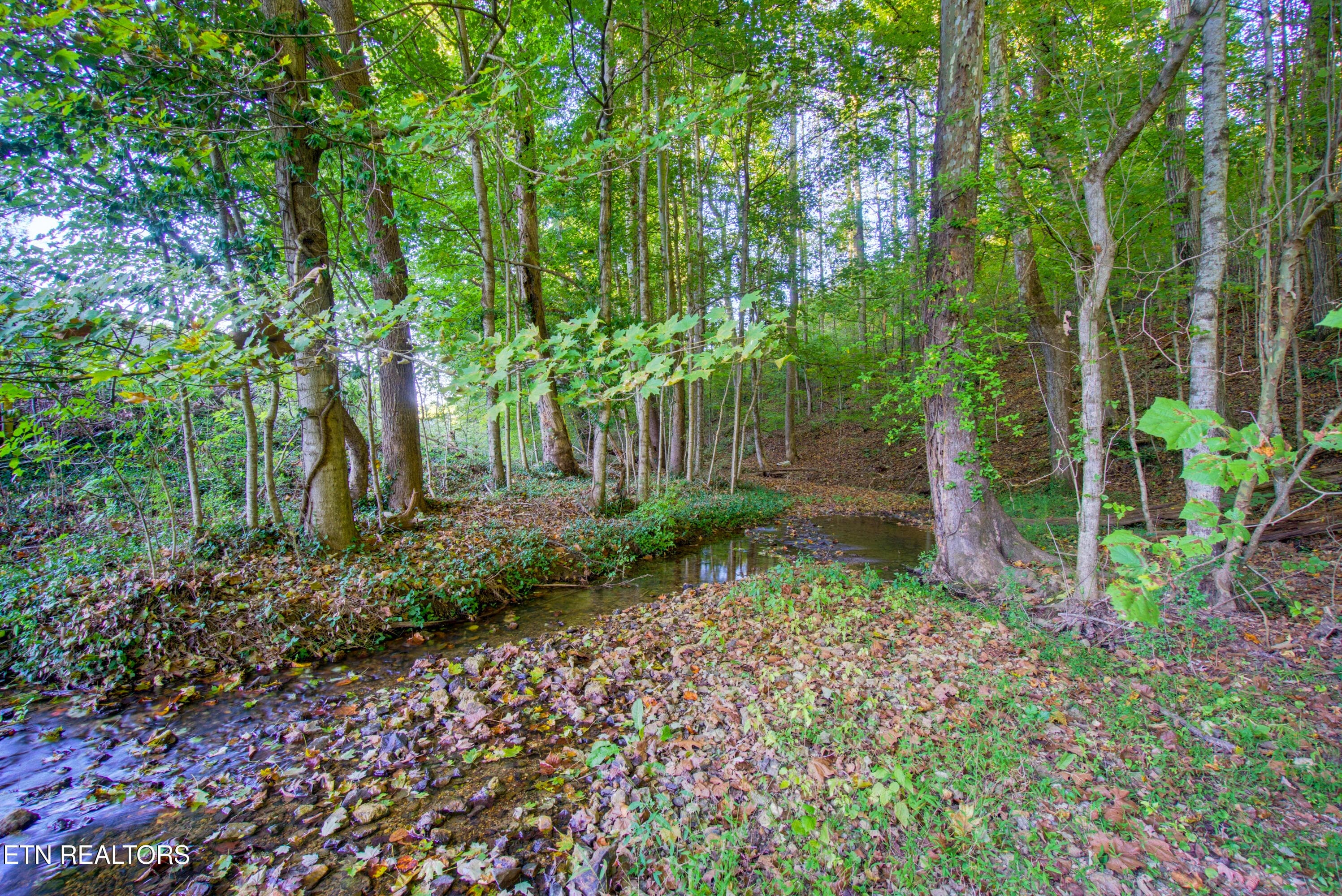 116 County Rd. 216-45 - 116 County Road 216, Niota, TN 37826, Niota