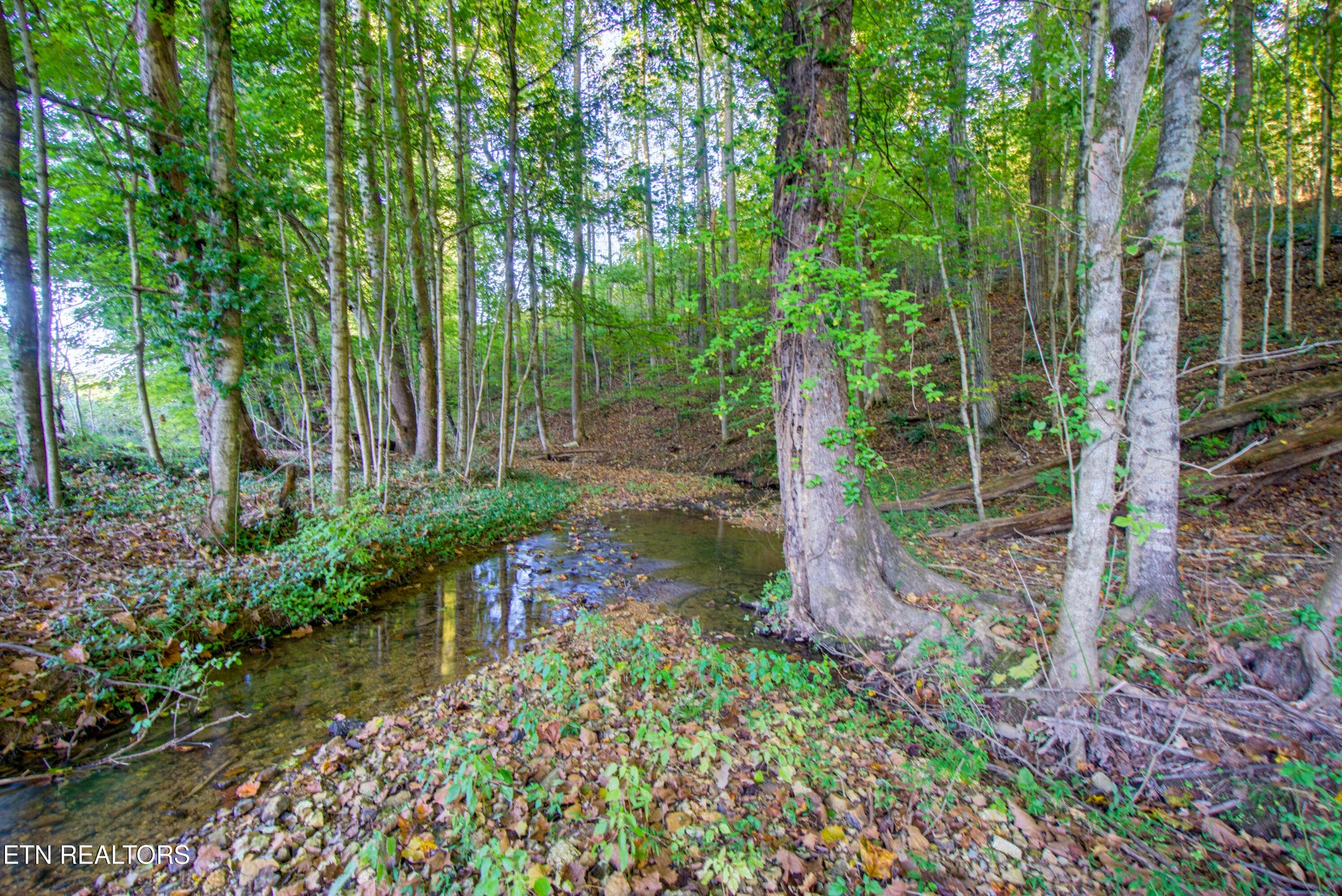 116 County Rd. 216-46 - 116 County Road 216, Niota, TN 37826, Niota