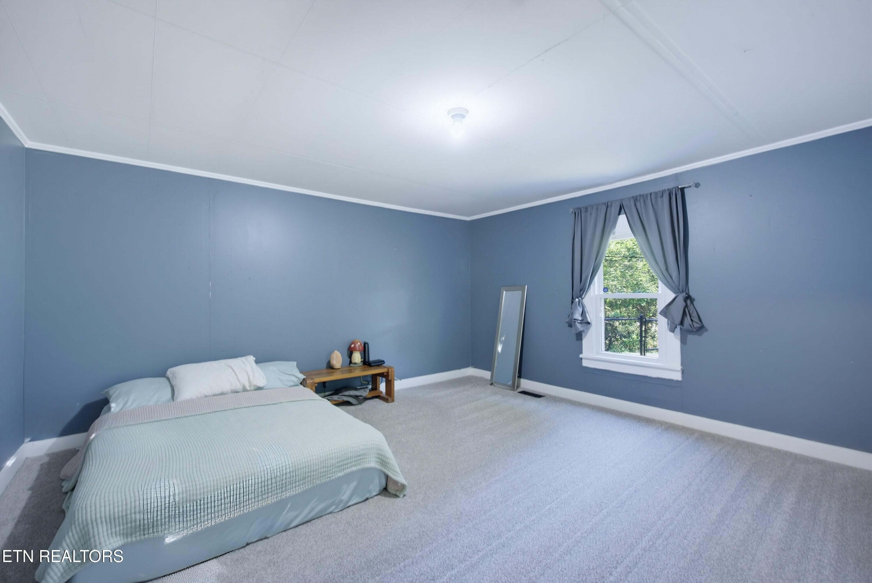 Glare removal - 116 County Road 216, Niota, TN 37826, Niota