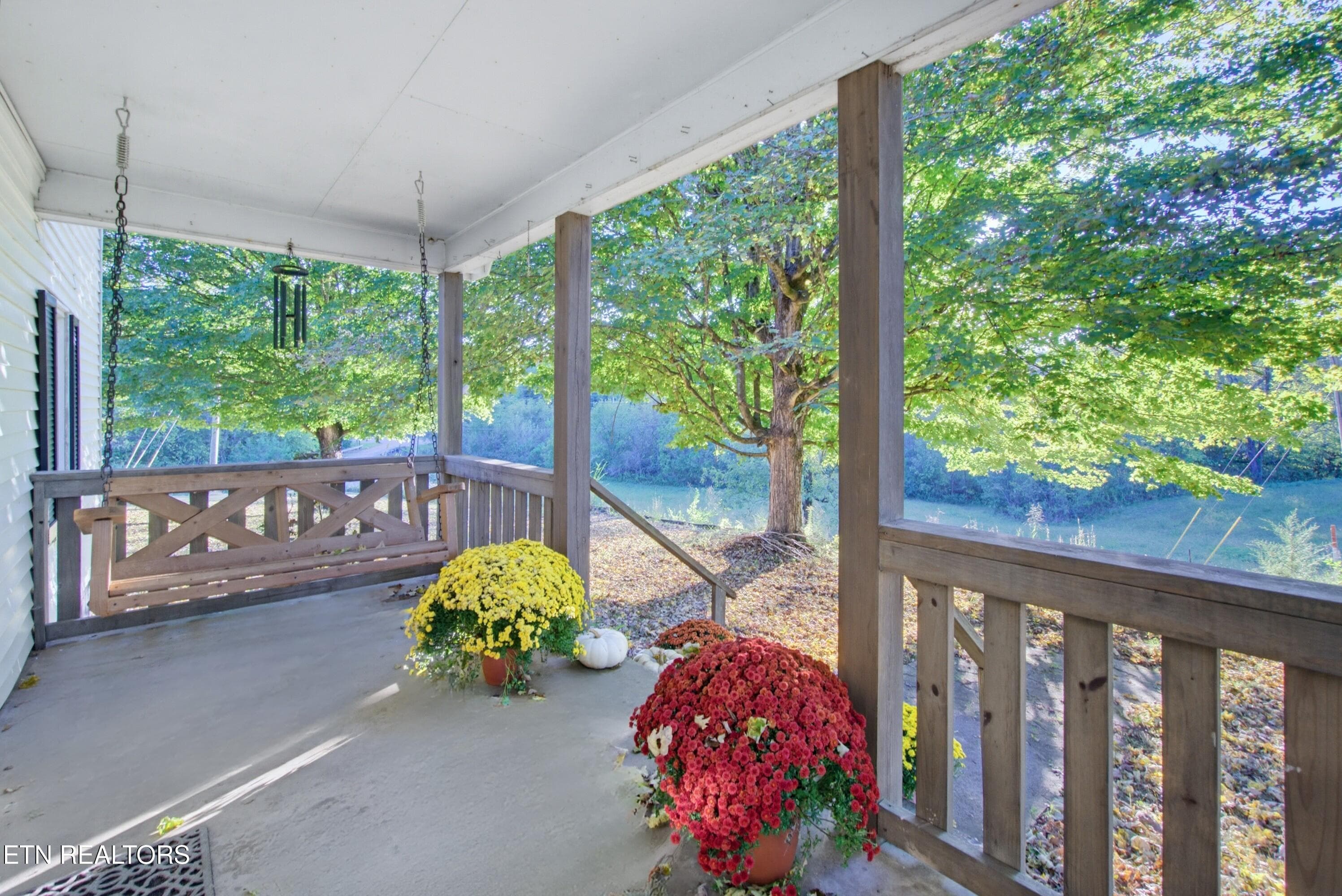 Porch Leaf removal - 116 County Road 216, Niota, TN 37826, Niota