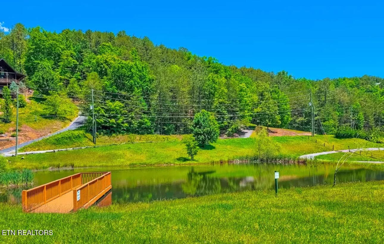 IMG_7237 - 2539 Raccoon Hollow Way, Sevierville, TN 37862, Sevierville