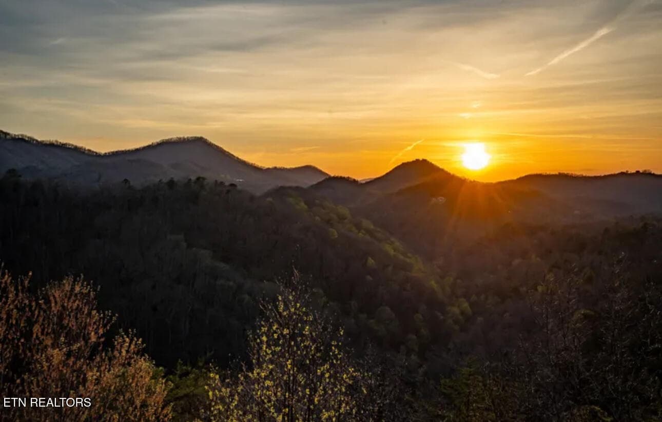 IMG_7236 - 2539 Raccoon Hollow Way, Sevierville, TN 37862, Sevierville