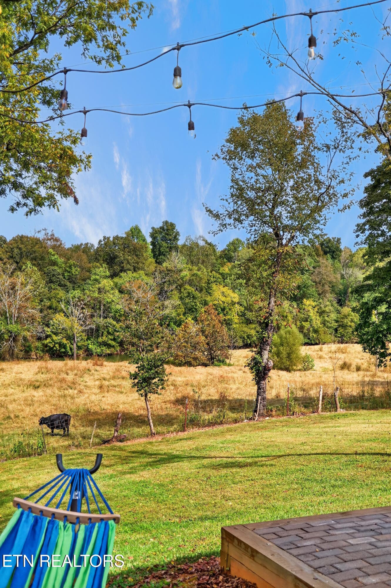 022_IMG_9731 - 787/777 Blue Springs Road Rd, Sparta, TN 38583, Sparta