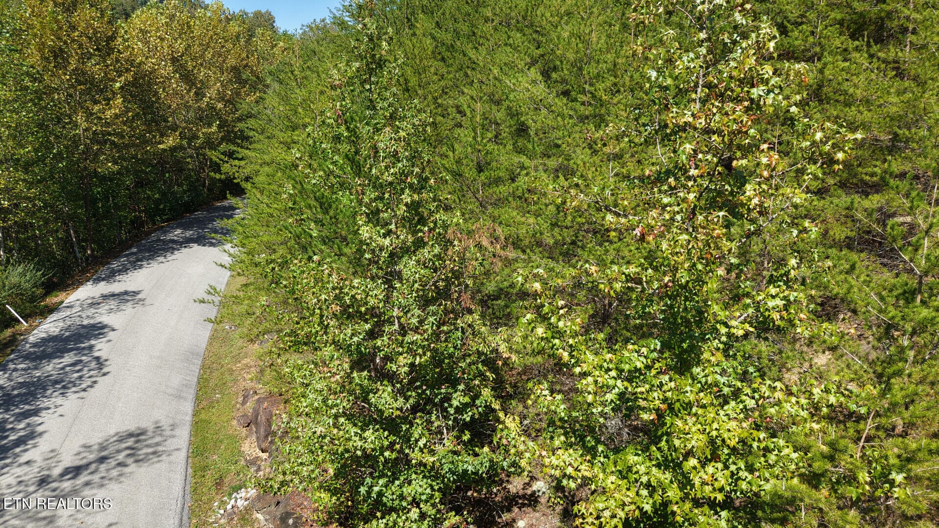 315EnclaveWay_73352_4 - 315 Enclave Way, Kingston, TN 37763, Kingston