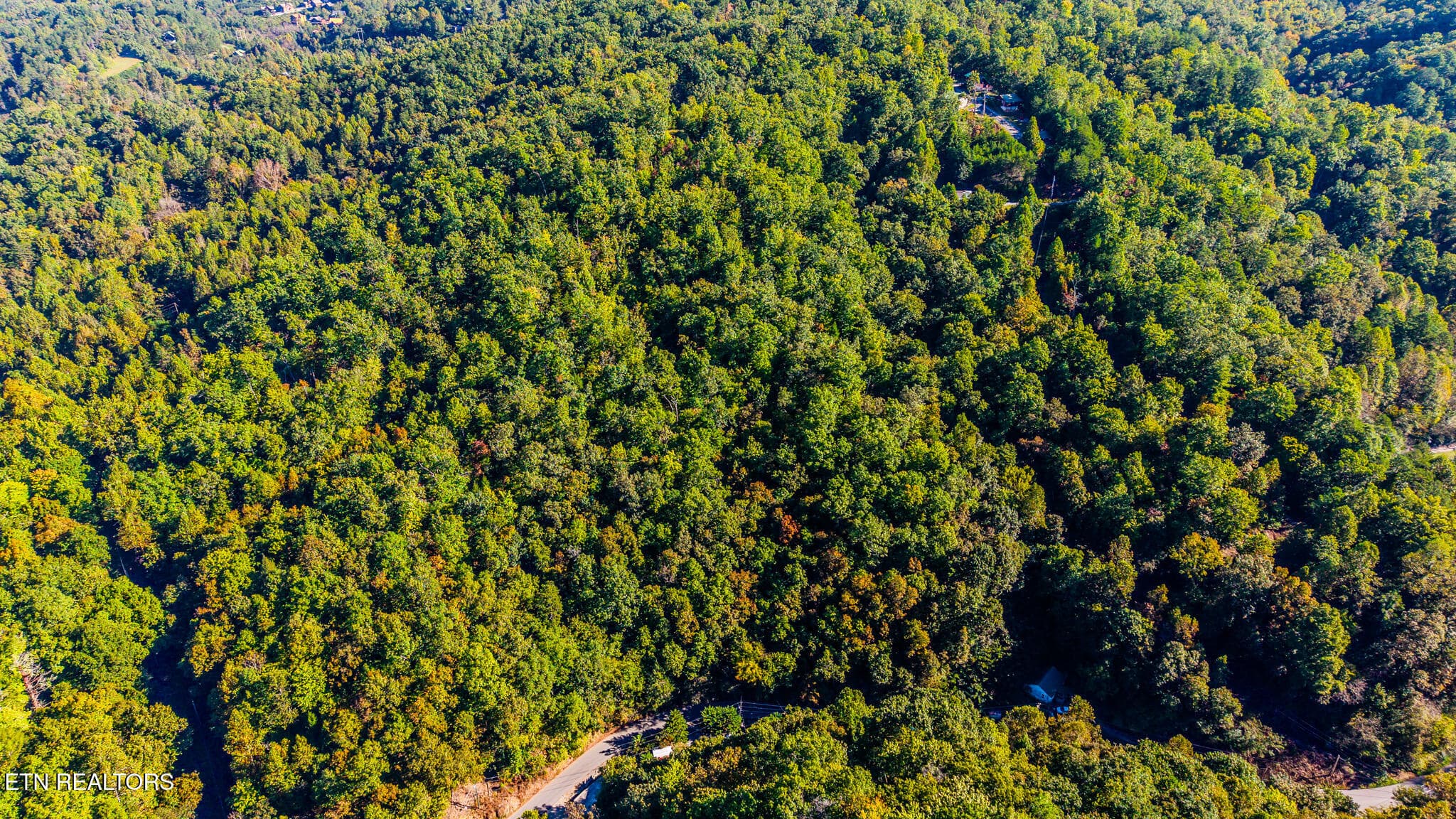 4-print-429-king-branch-rd - 429 King Branch Rd, Sevierville, TN 37876, Sevierville