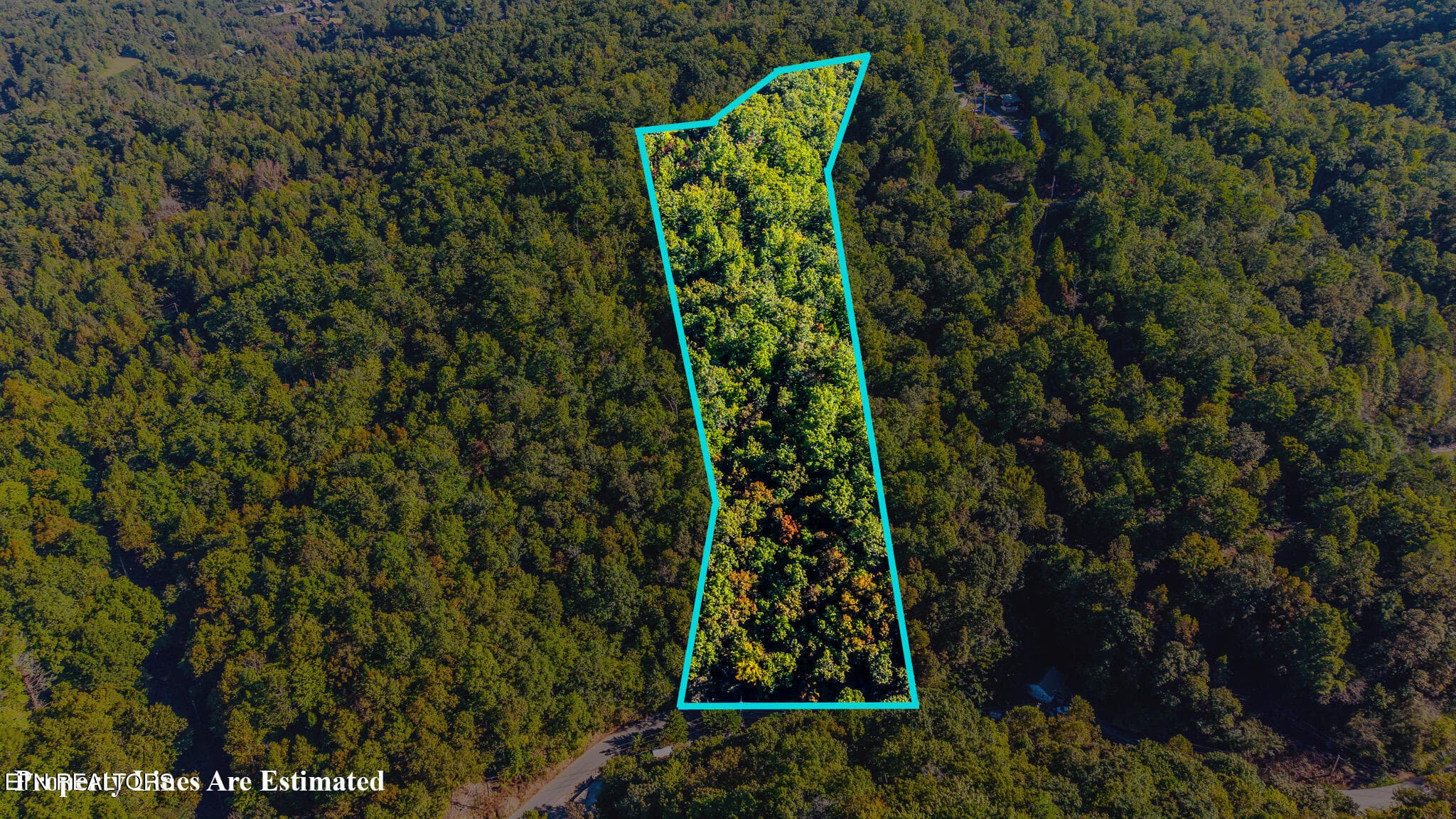 5-print-429-king-branch-rd - 429 King Branch Rd, Sevierville, TN 37876, Sevierville