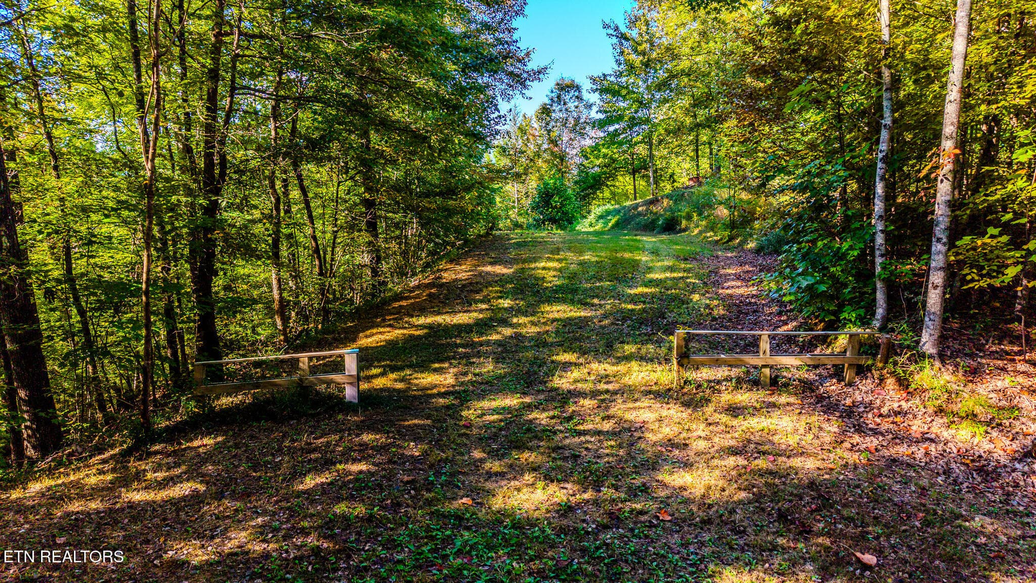 12-print-429-king-branch-rd - 429 King Branch Rd, Sevierville, TN 37876, Sevierville