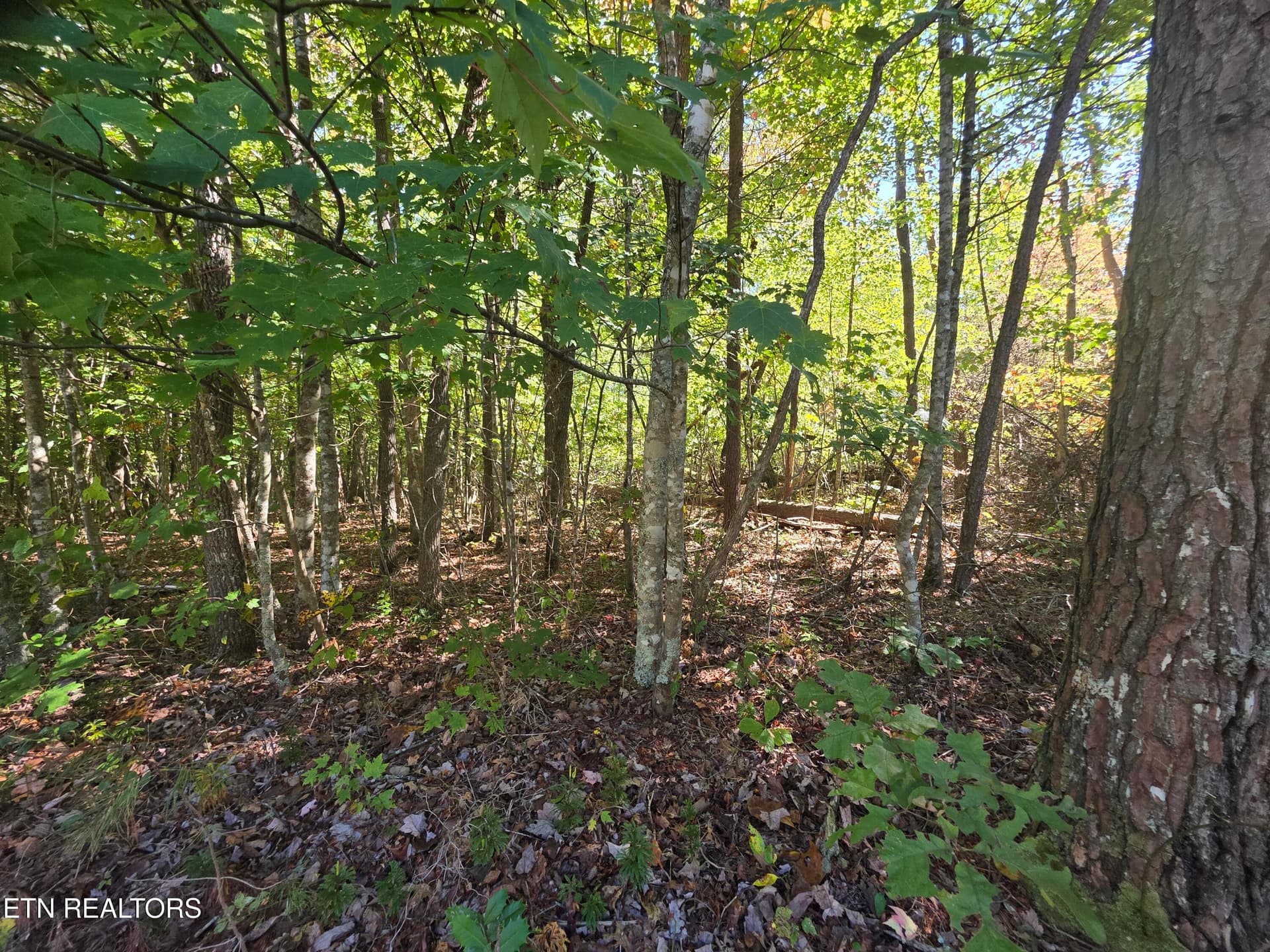 1000031485 - L6 Cumberland Lakes Drive, Monterey, TN 38574