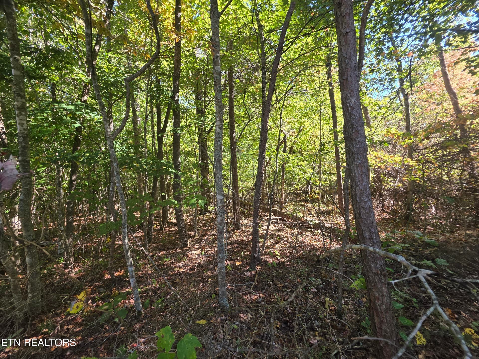 1000031484 - L6 Cumberland Lakes Drive, Monterey, TN 38574