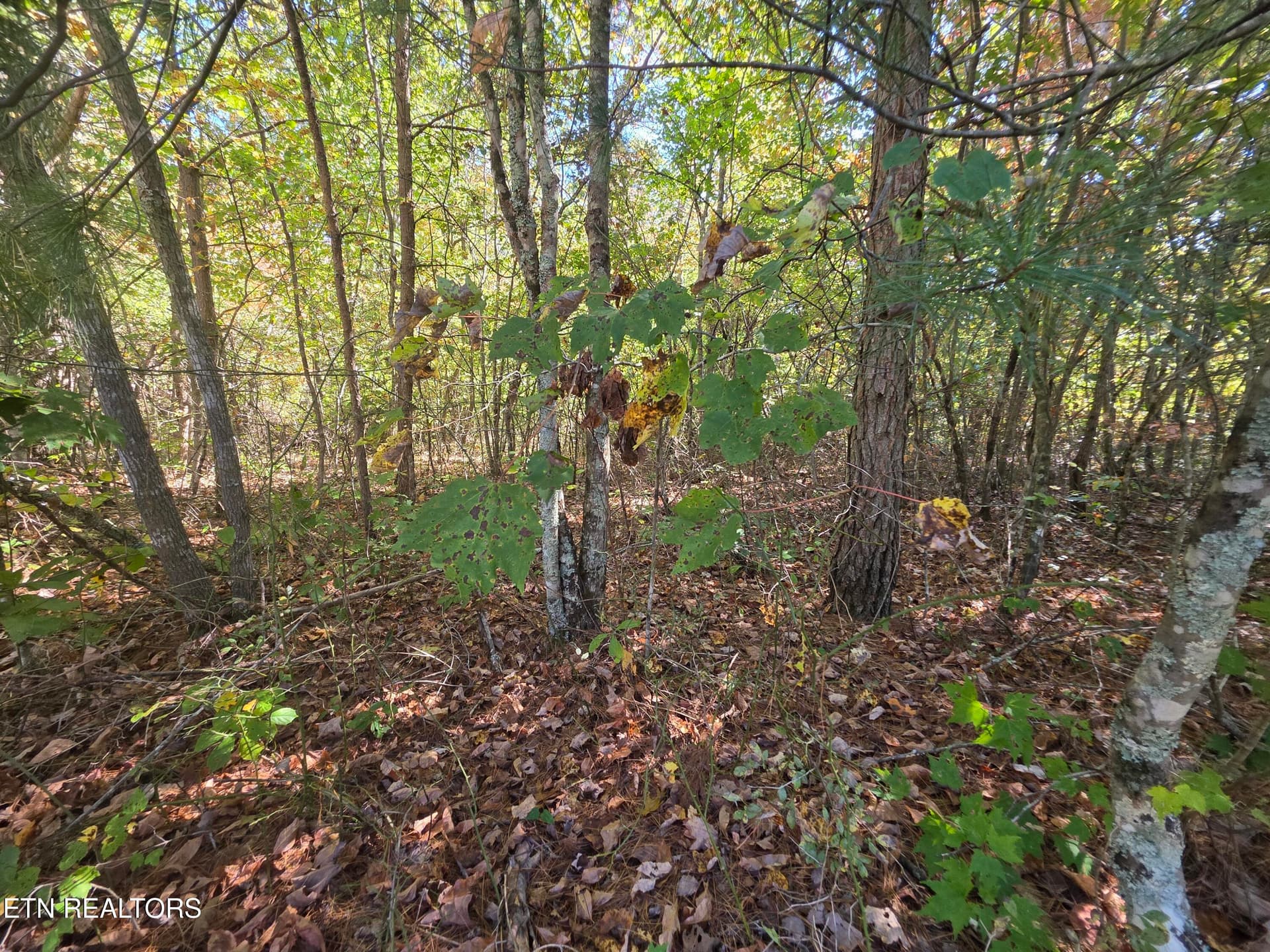 1000031482 - L6 Cumberland Lakes Drive, Monterey, TN 38574